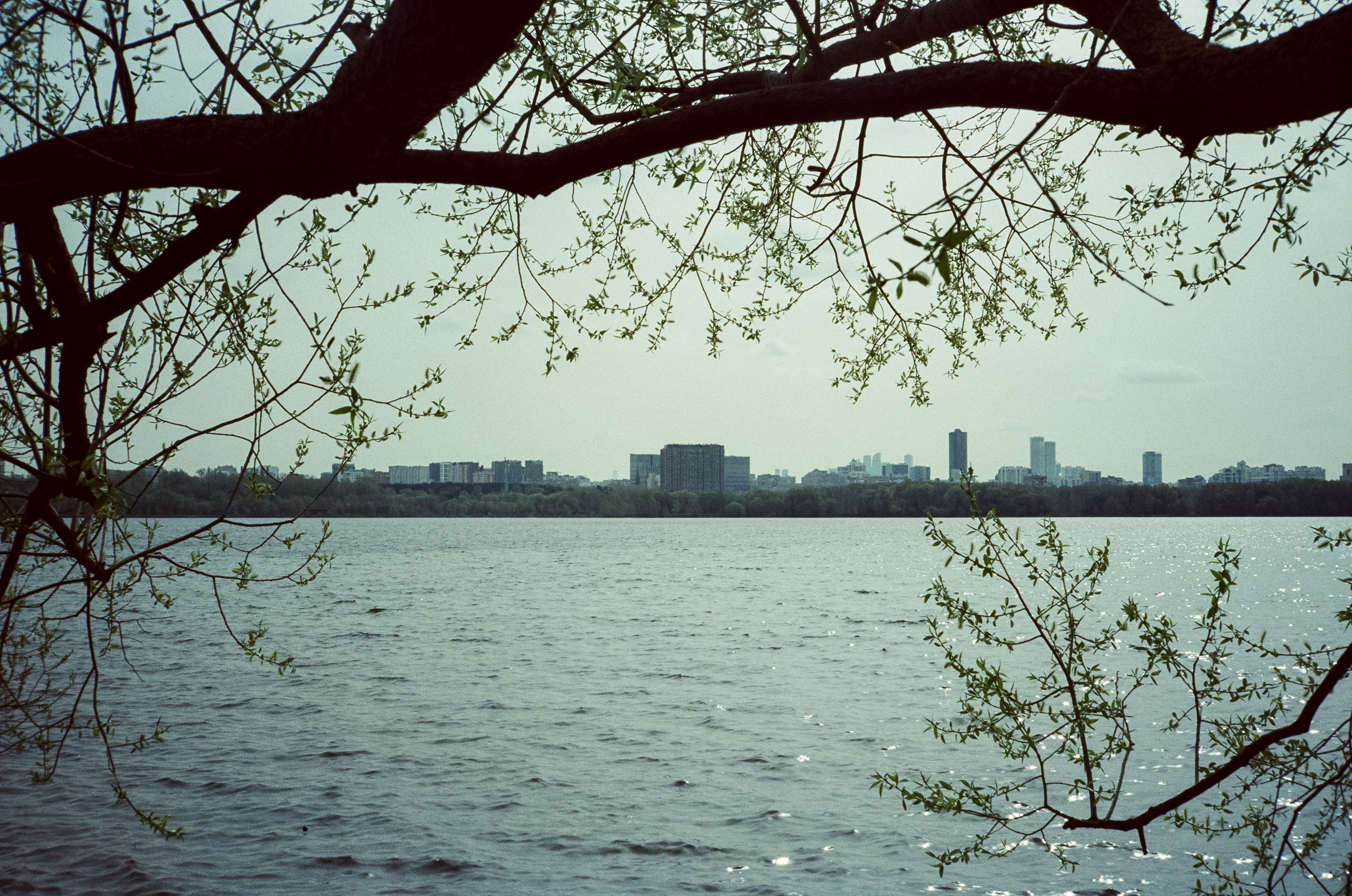 Ricoh 500GS / SFL 200T / Строгино тестовая пленка апрель 2024 г