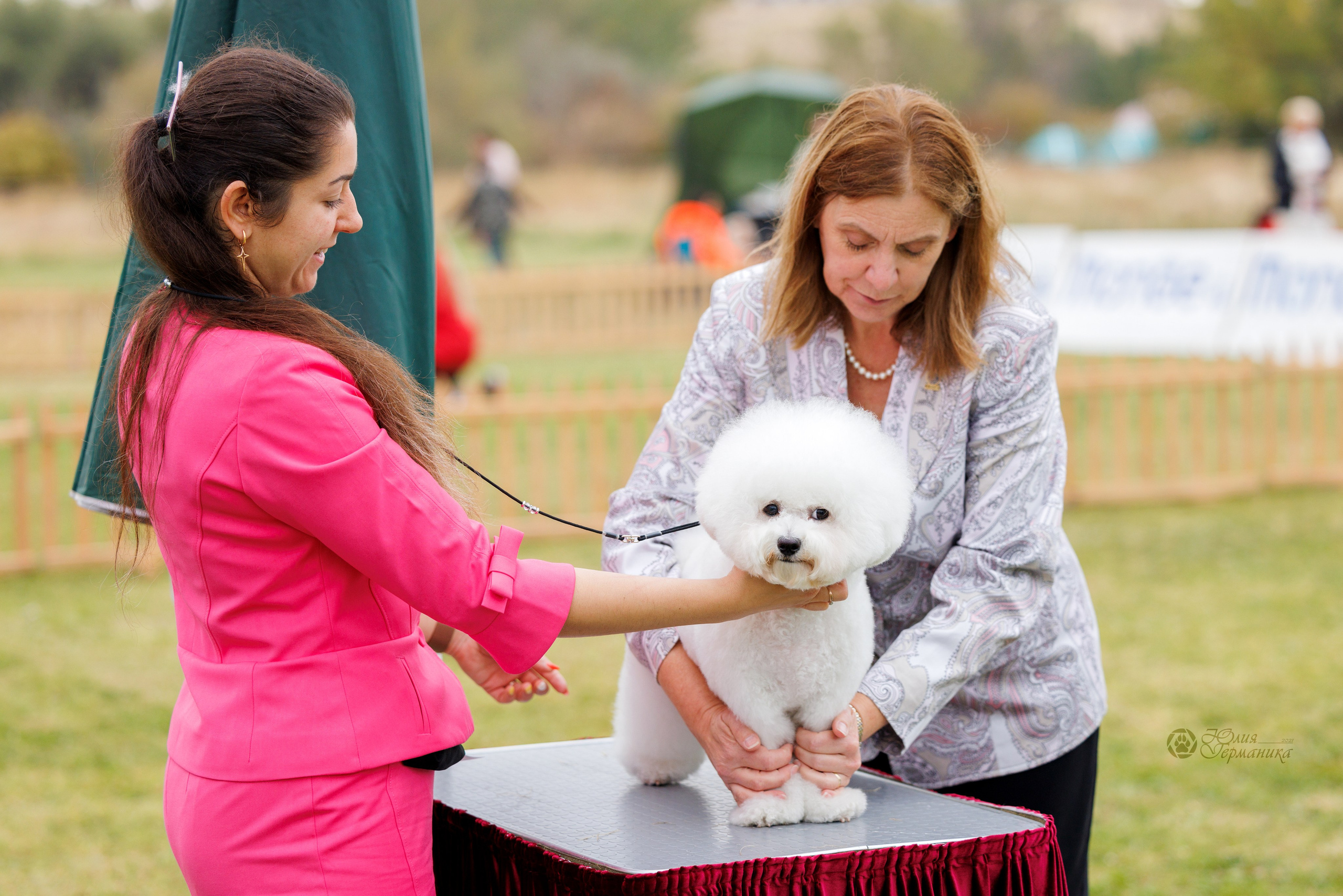 Армения,Ереван 3хCACIB 15-17.10.2024. Фотограф-анималист Юлия Германика