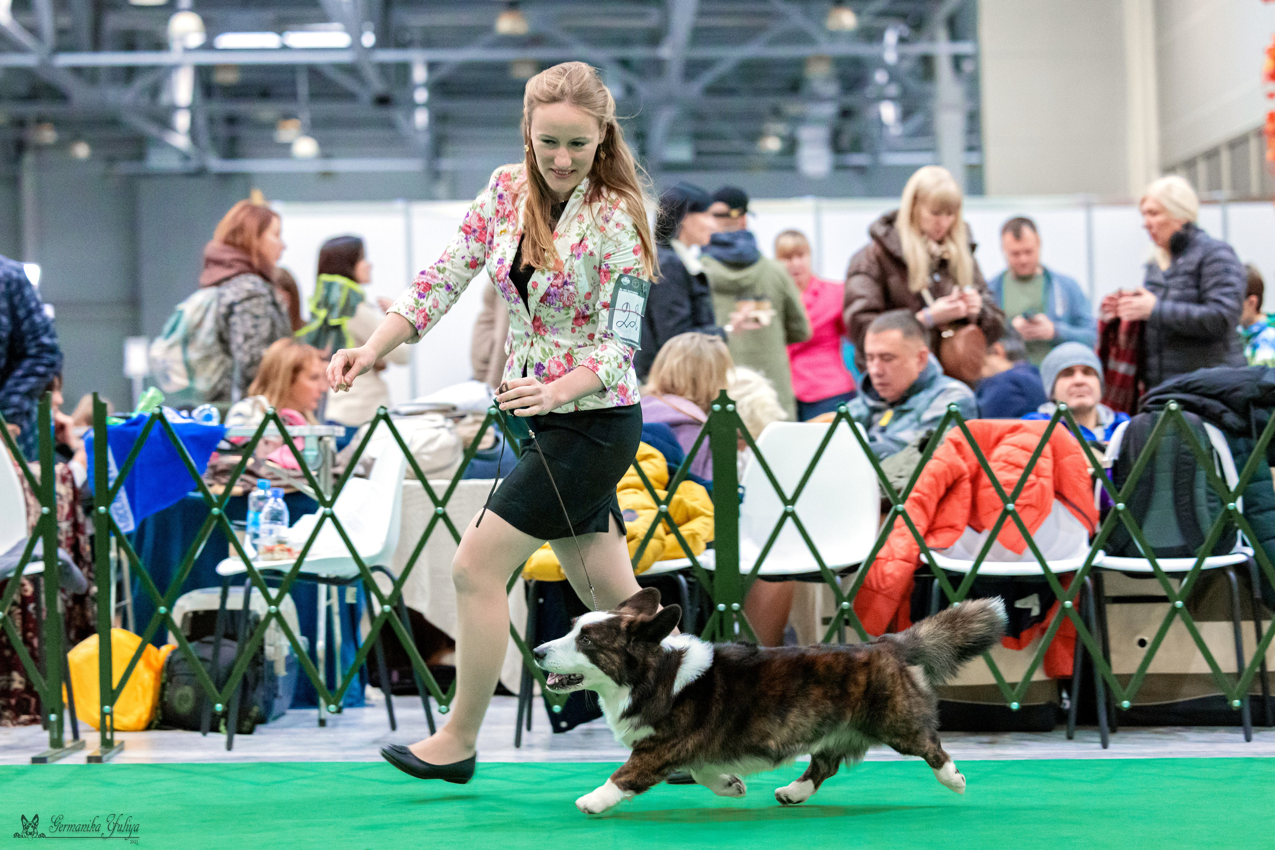 Сфера 29.10,Крокус 4.11,Сфера 12.11.2023. Фотограф-анималист Юлия Германика