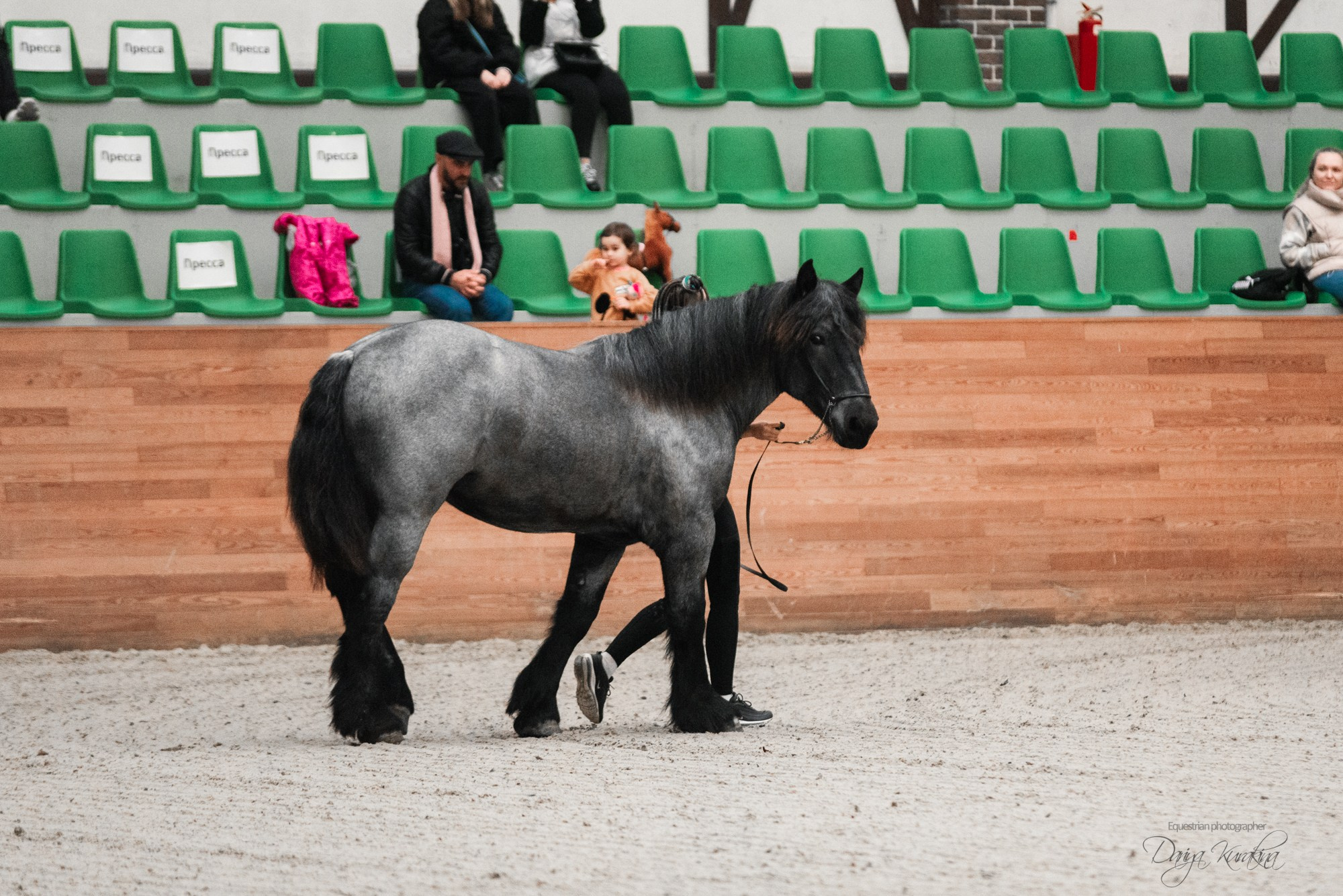 8-я международная выставка Конная Россия. Конный фотограф Куракина Дарья • Фотосессии с лошадьми