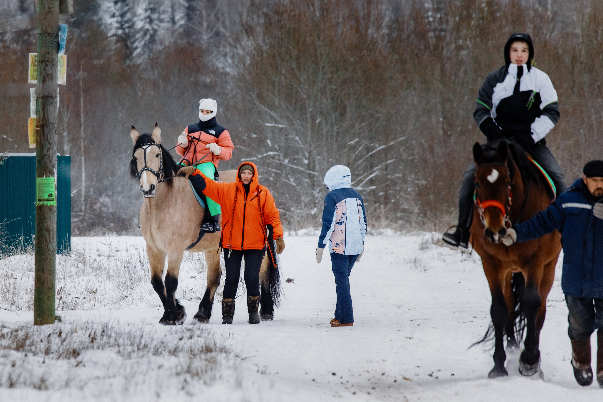 Миниферма в Теребочево. Свадебный и семейный фотограф в г. Волхов Алексей Кочерыжкин