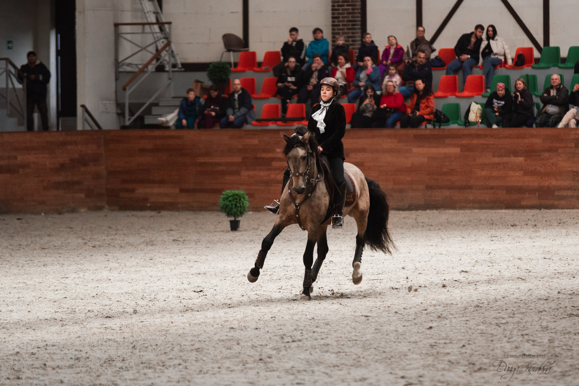 8-я международная выставка Конная Россия. Конный фотограф Куракина Дарья • Фотосессии с лошадьми