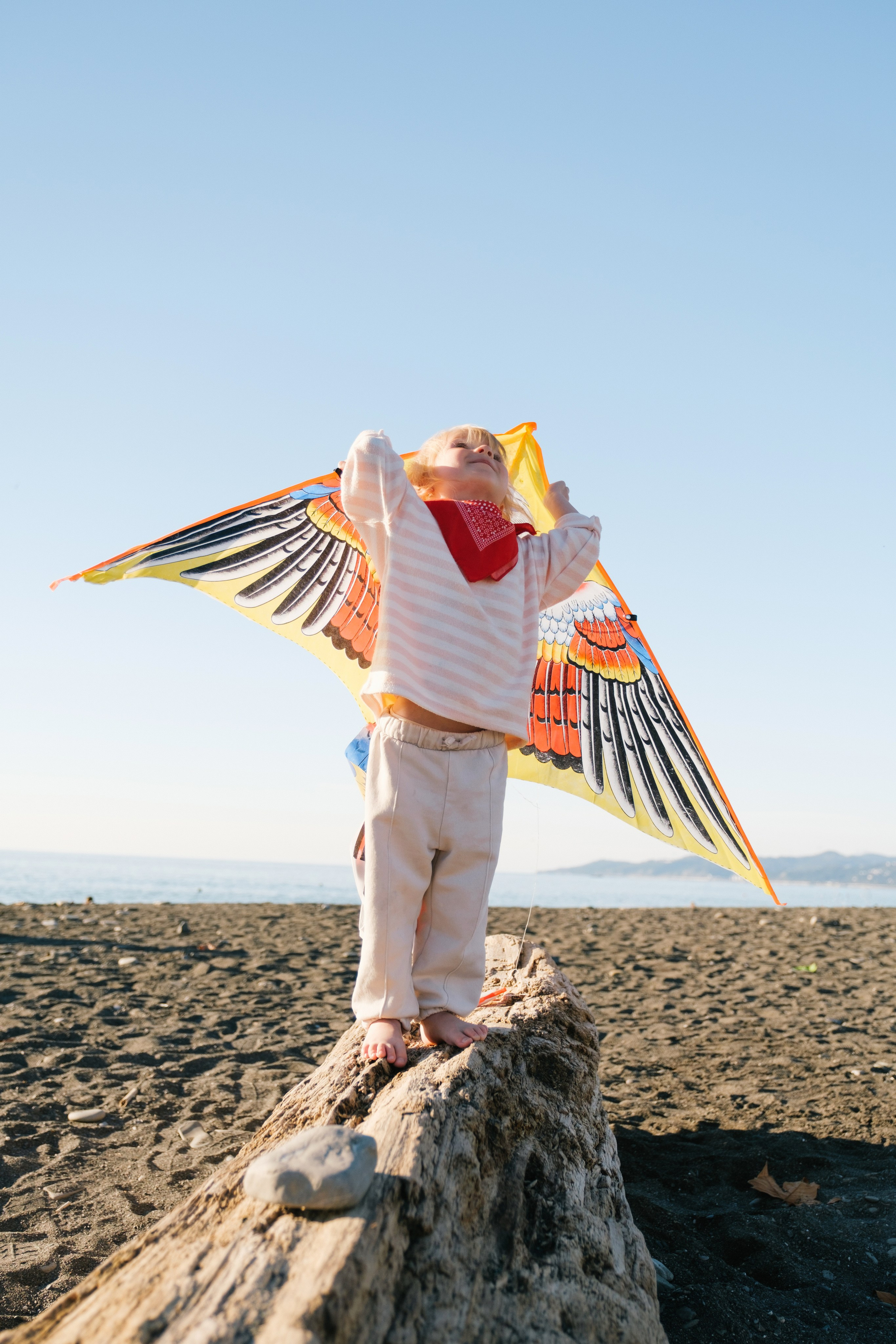 Воздушный змей. Свадебный Видеограф Фотограф в Сочи