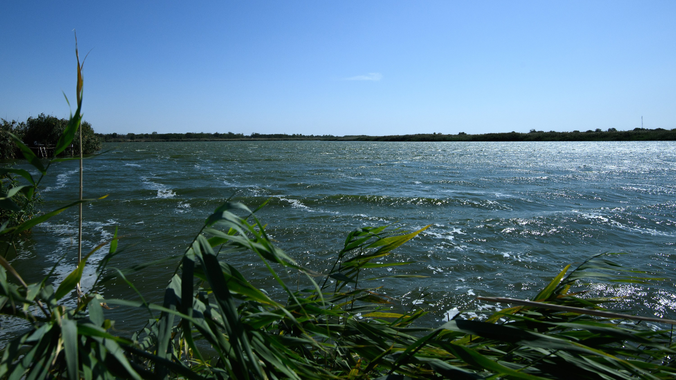 Тихорецк. Профессиональная фотосъемка. Ростов-на-Дону