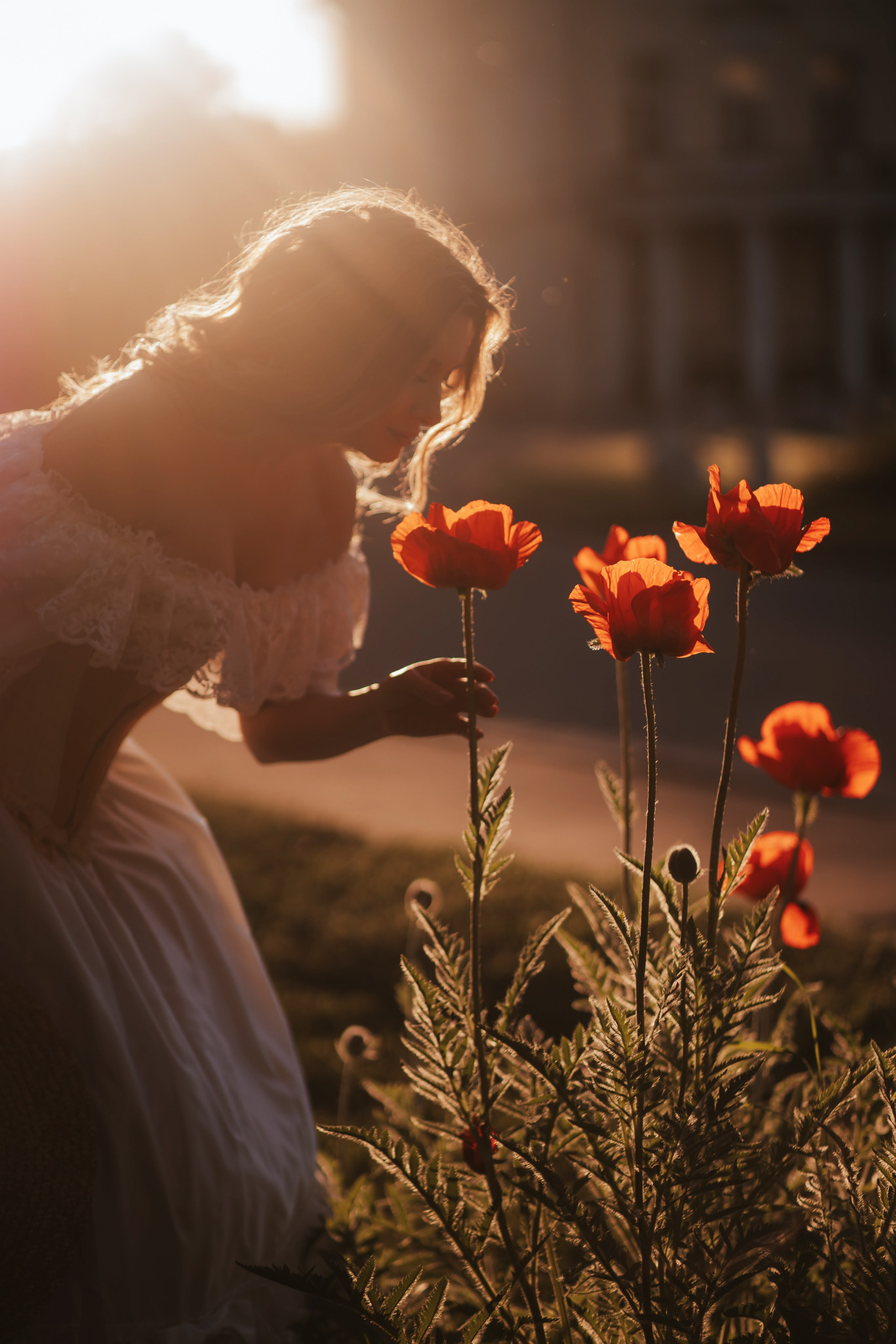 Маки. Художественная винтажная фотография