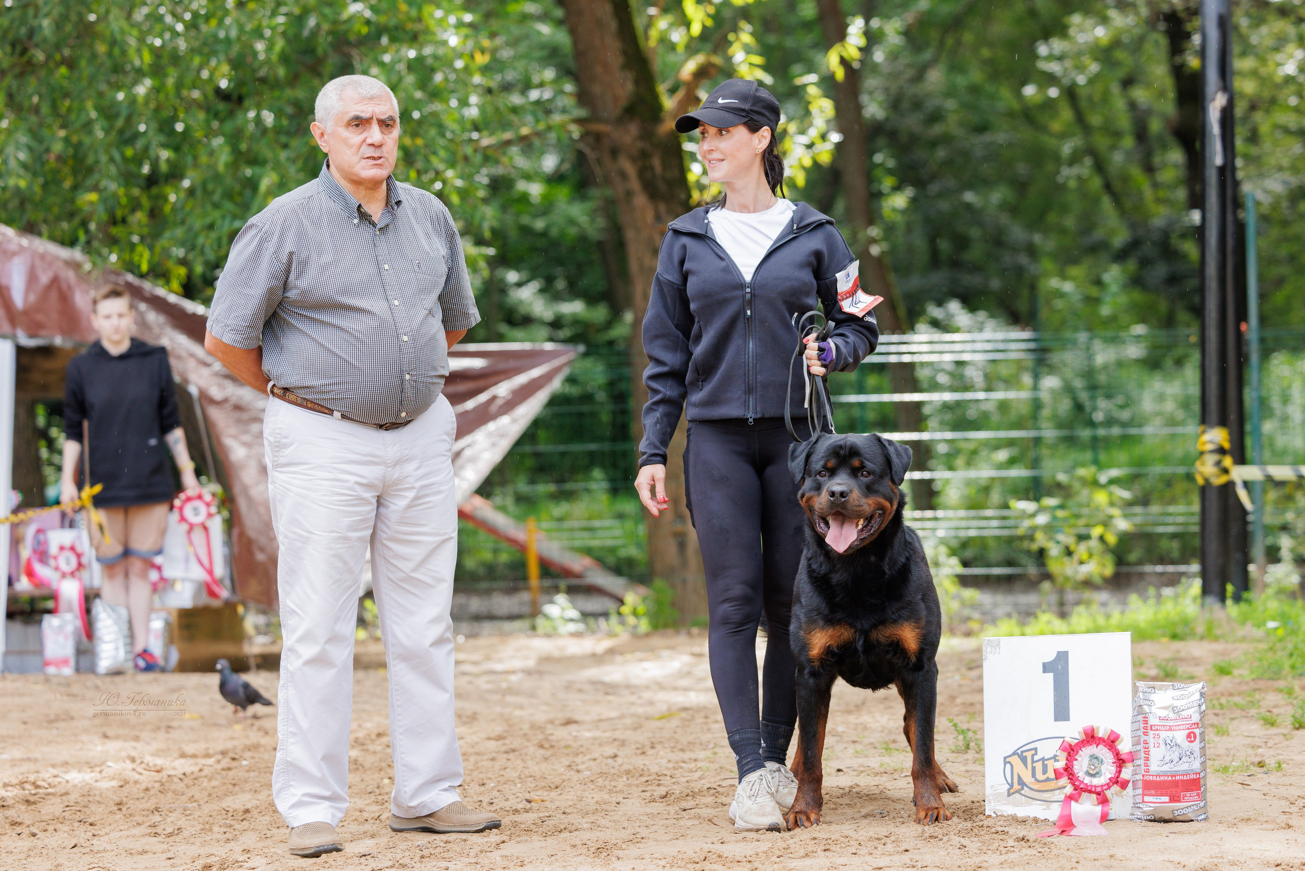 Рязань-Ховрино 10-11.08.2024 3хмоно ротвейлеров. Фотограф-анималист Юлия Германика