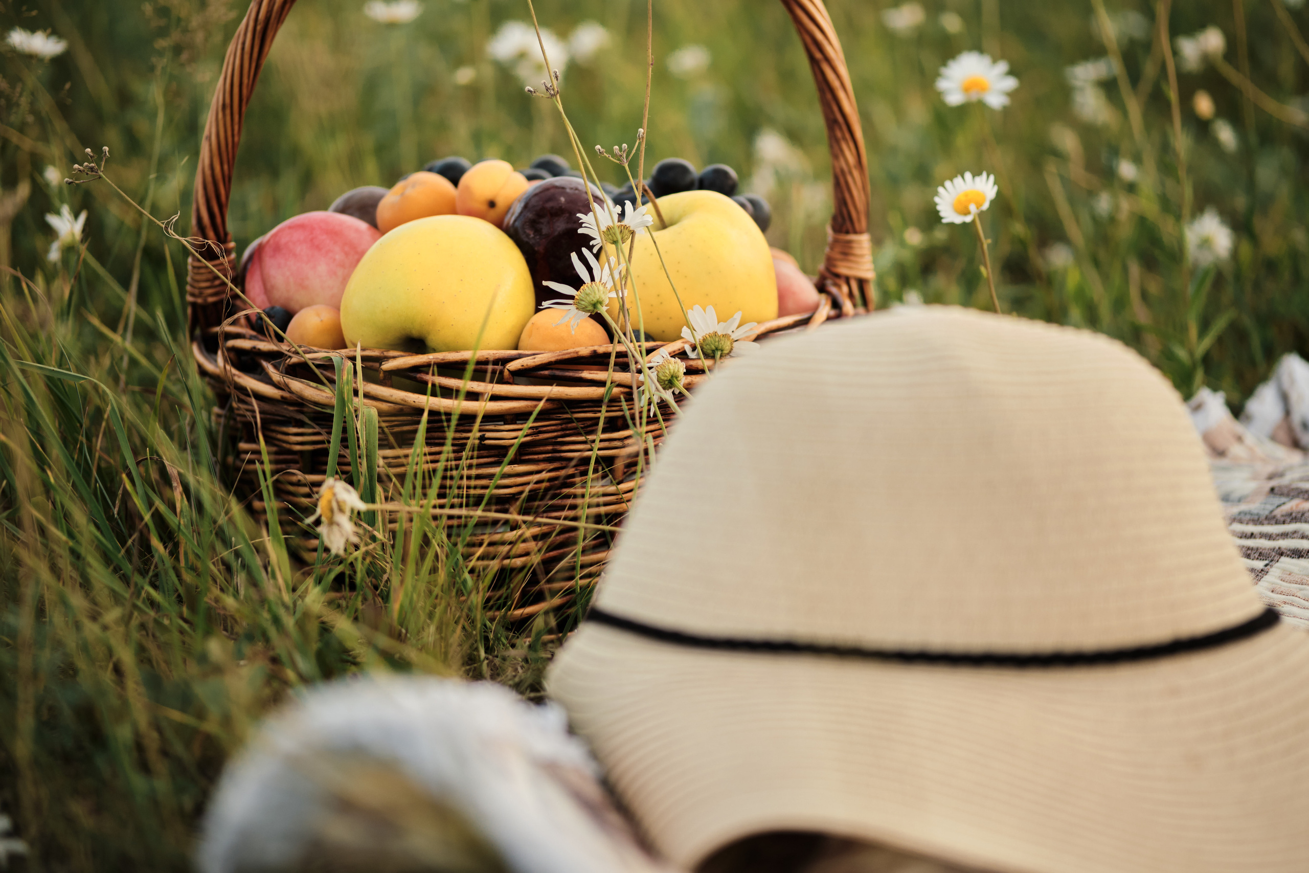 Семья Анастасии и Андрея. Свадебный и семейный фотограф в Новокузнецке Иван Иванов