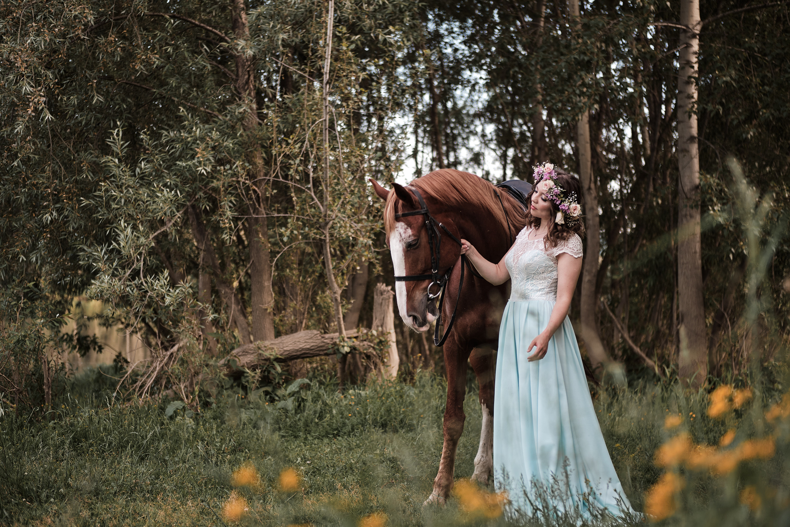 Фотопроект с конем «Диксон» — Татьяна. Свадебный и семейный фотограф в Новокузнецке Иван Иванов