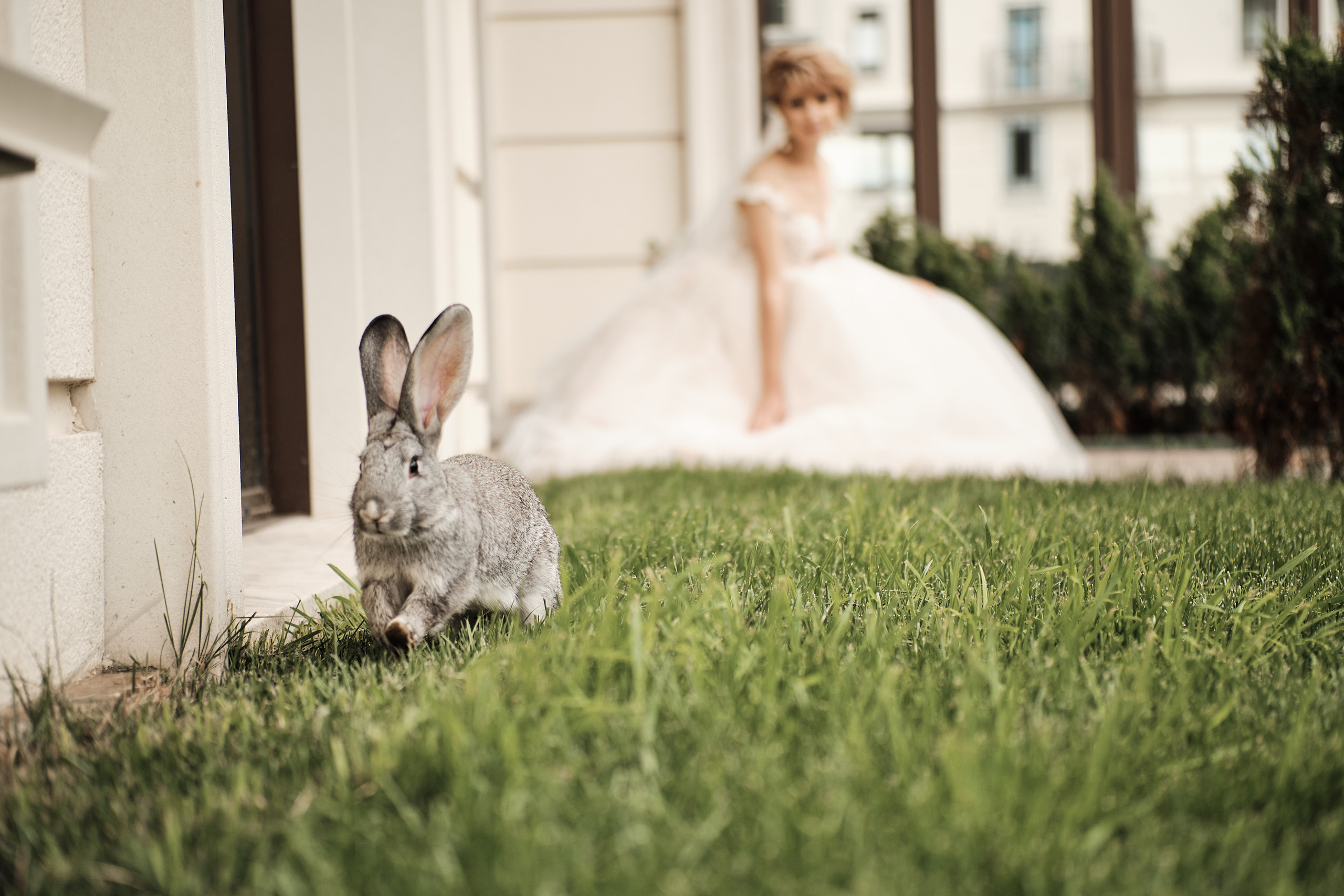 Владимир и Наталья. Нск. Свадебный и семейный фотограф в Новокузнецке Иван Иванов