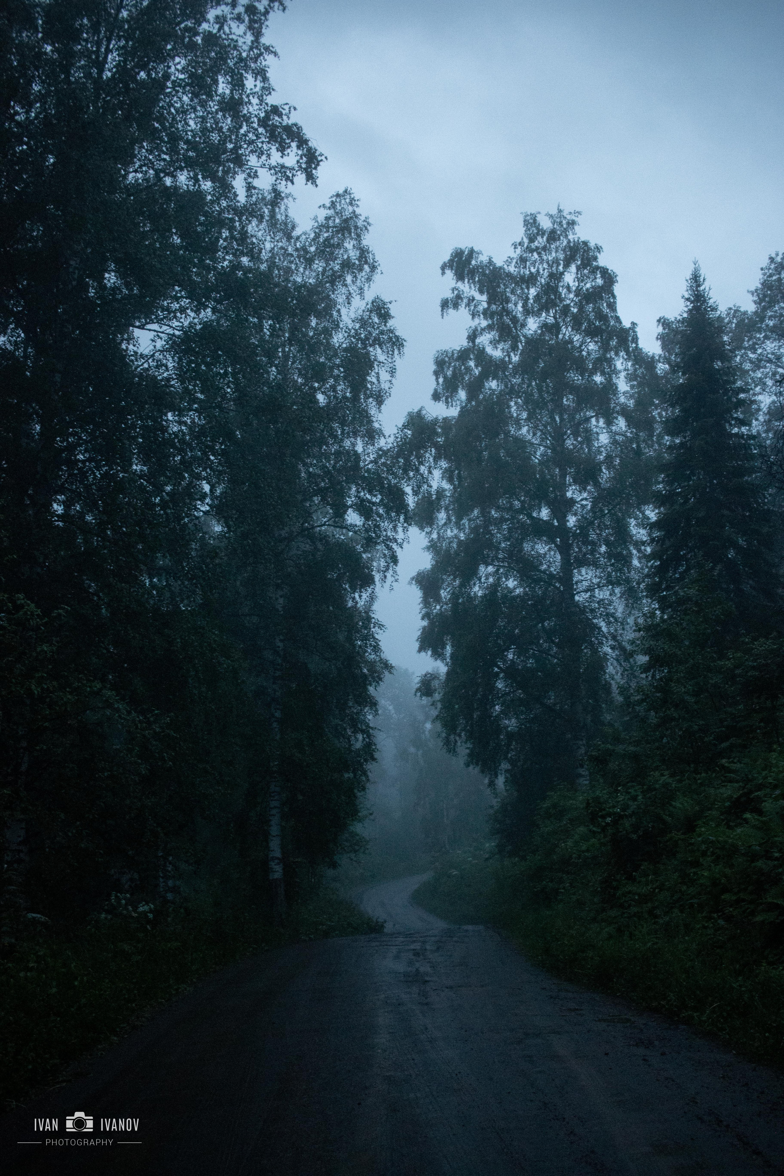 Тельбес. Свадебный и семейный фотограф в Новокузнецке Иван Иванов