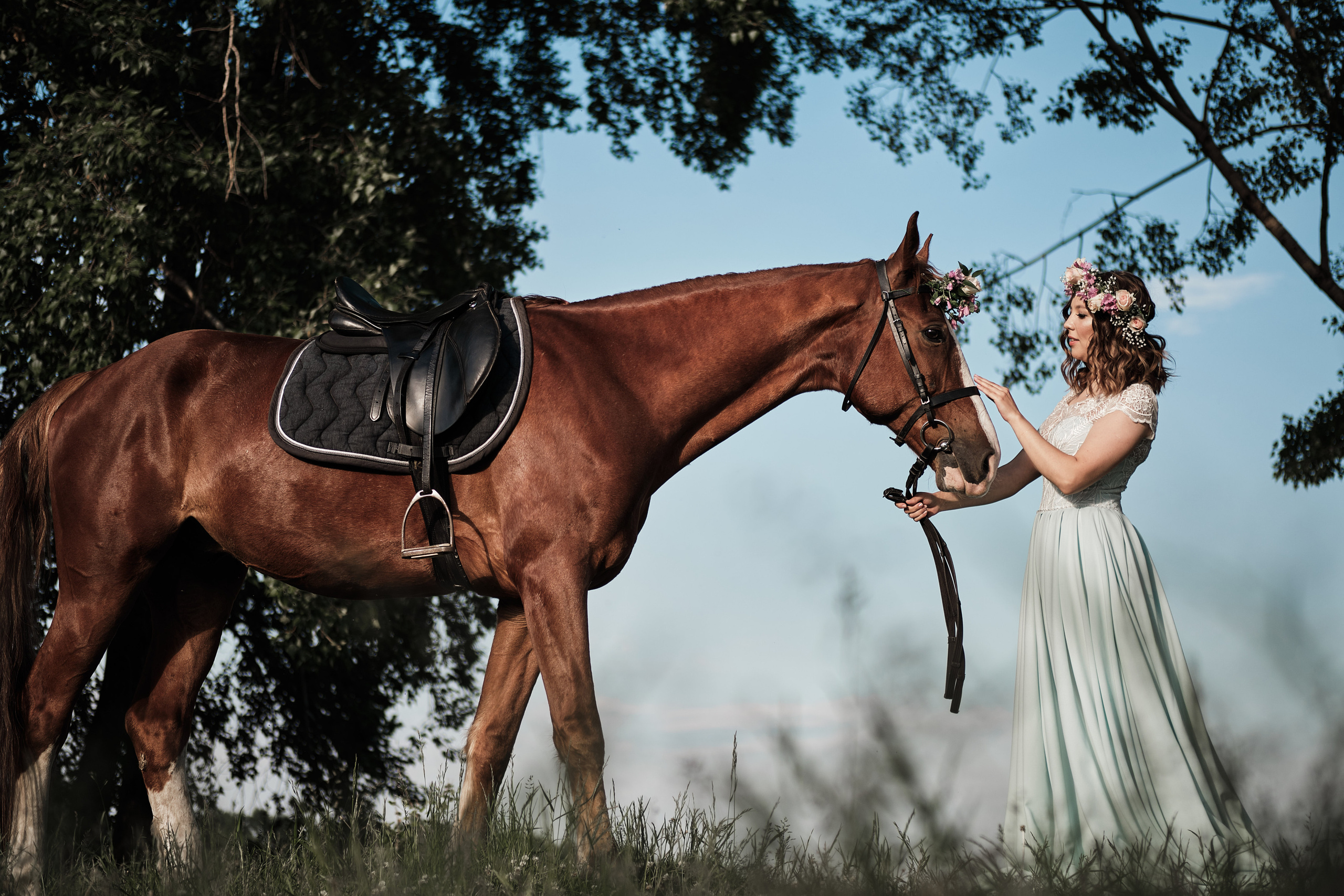 Фотопроект с конем «Диксон» — Татьяна. Свадебный и семейный фотограф в Новокузнецке Иван Иванов