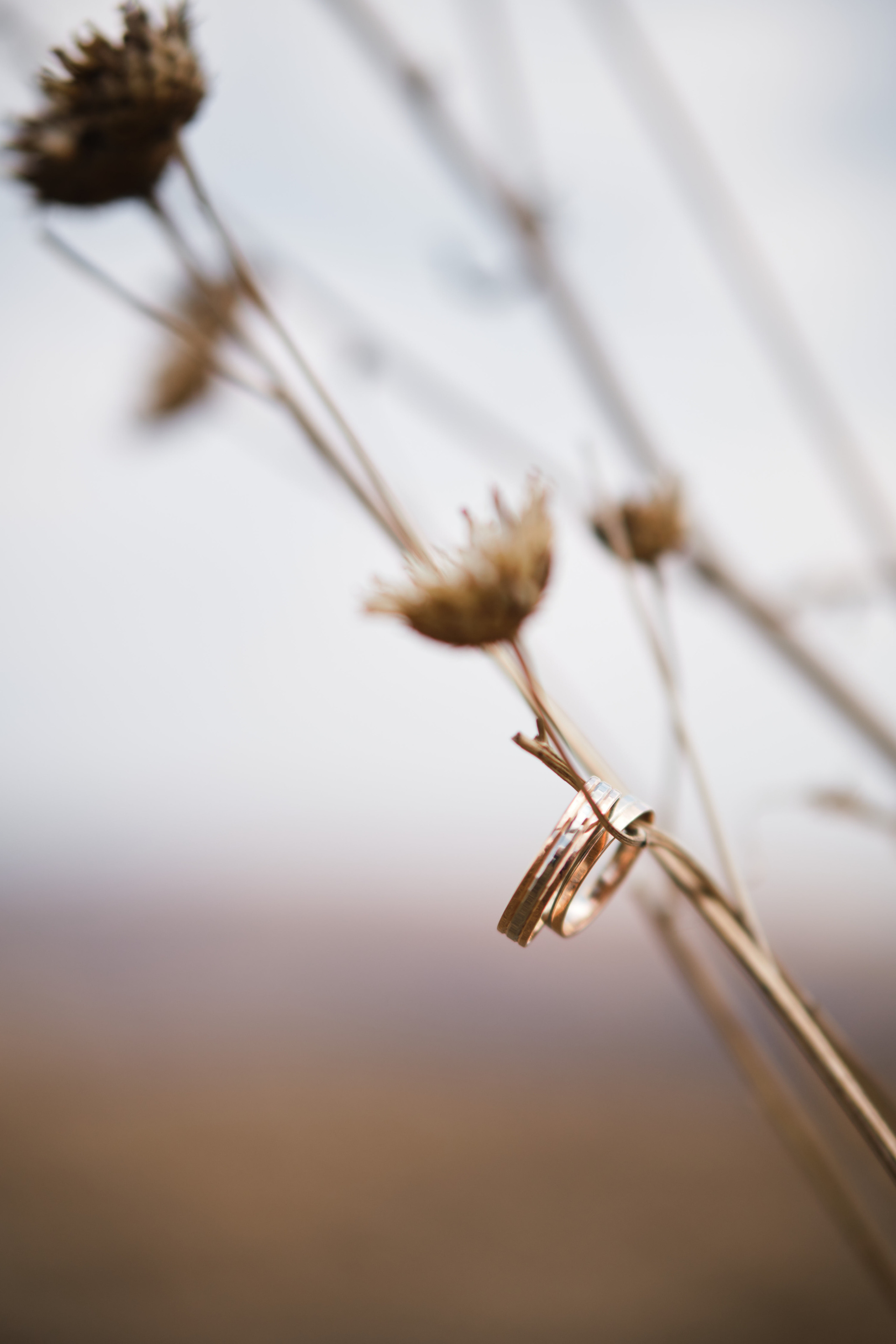 Екатерина и Александр. Свадебный и семейный фотограф в Новокузнецке Иван Иванов