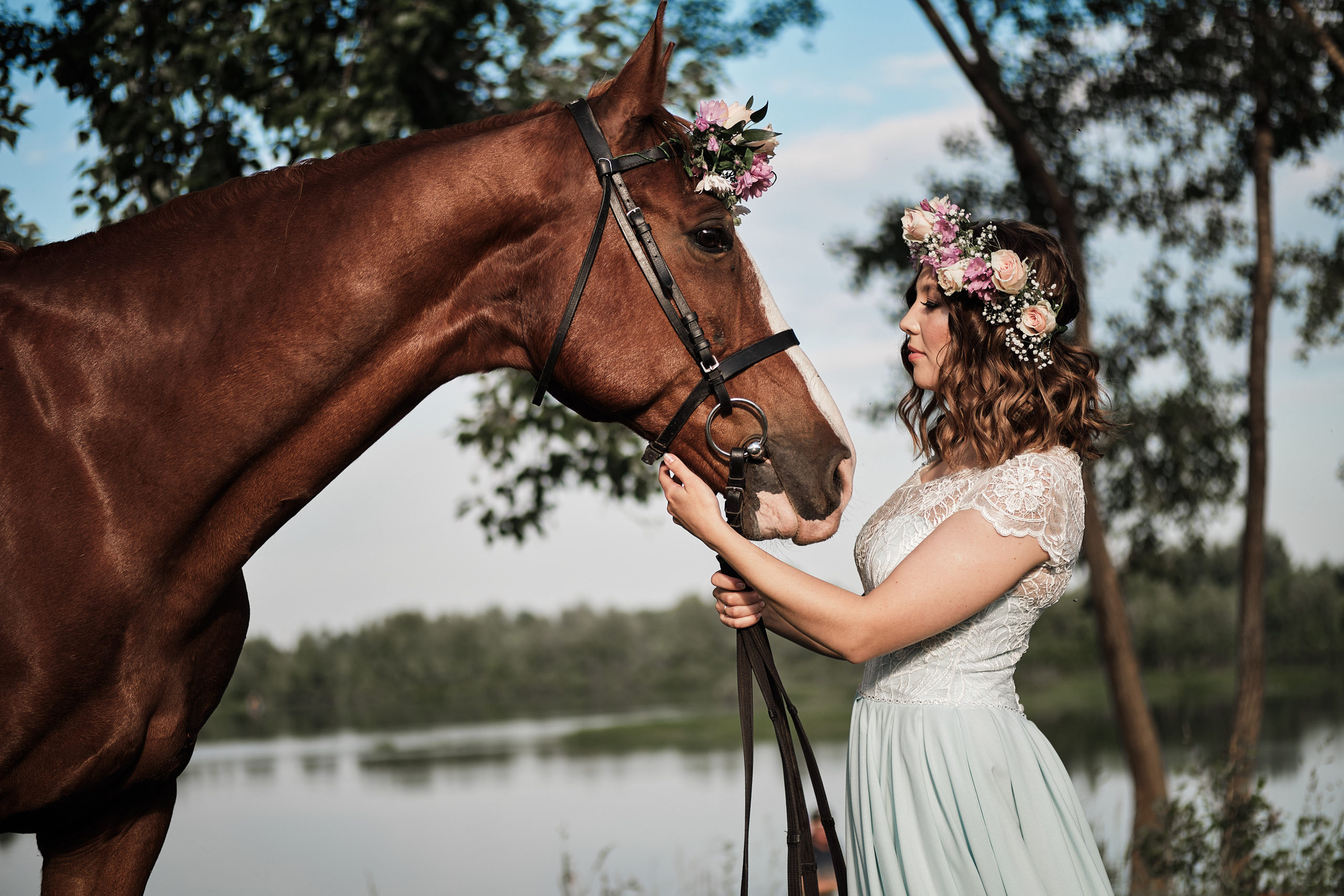 Фотопроект с конем «Диксон» — Татьяна. Свадебный и семейный фотограф в Новокузнецке Иван Иванов