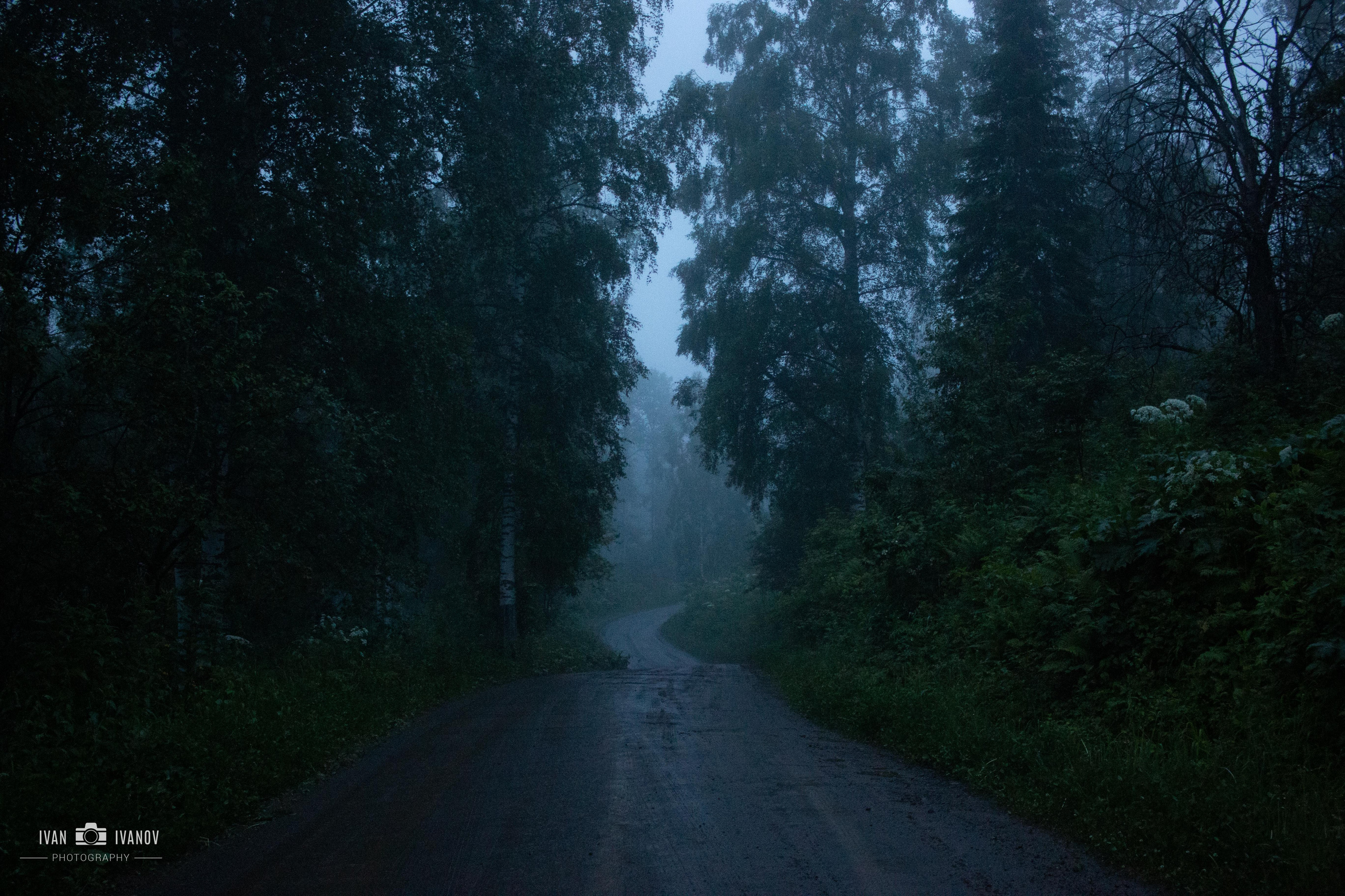 Тельбес. Свадебный и семейный фотограф в Новокузнецке Иван Иванов