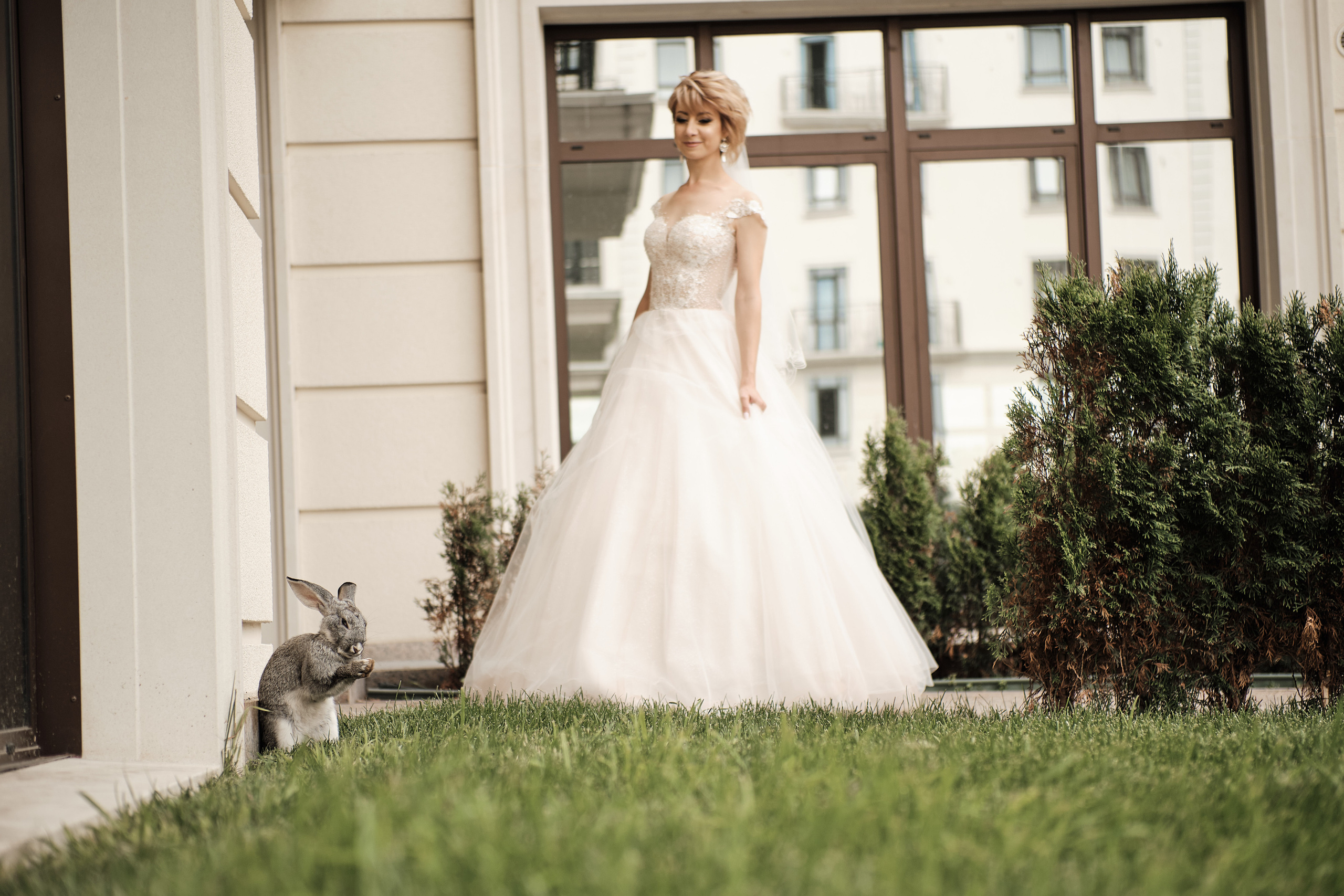 Владимир и Наталья. Нск. Свадебный и семейный фотограф в Новокузнецке Иван Иванов