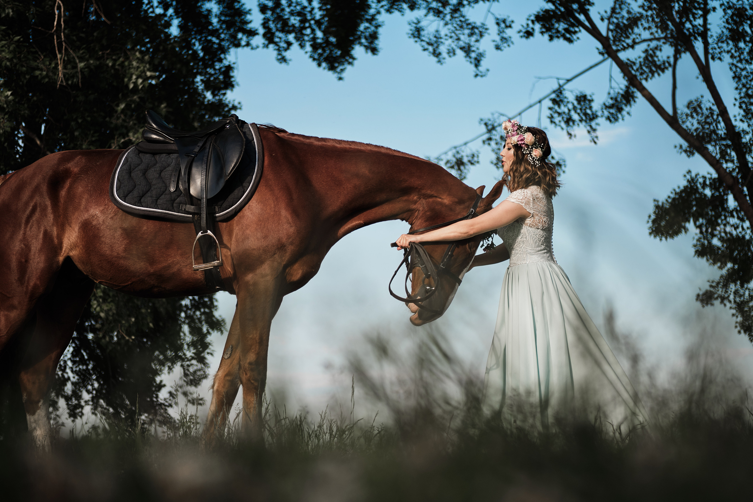 Фотопроект с конем «Диксон» — Татьяна. Свадебный и семейный фотограф в Новокузнецке Иван Иванов
