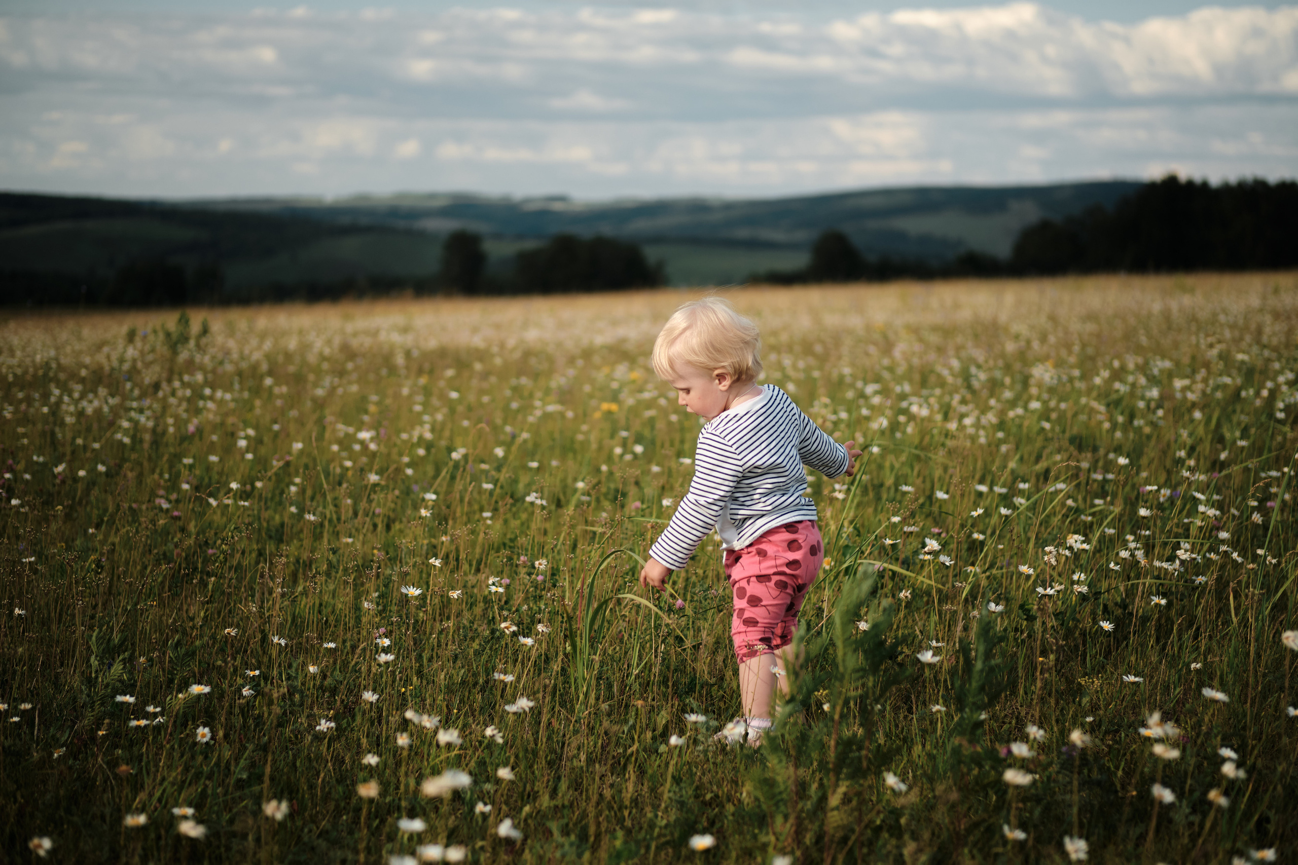 Семья Анастасии и Андрея. Свадебный и семейный фотограф в Новокузнецке Иван Иванов