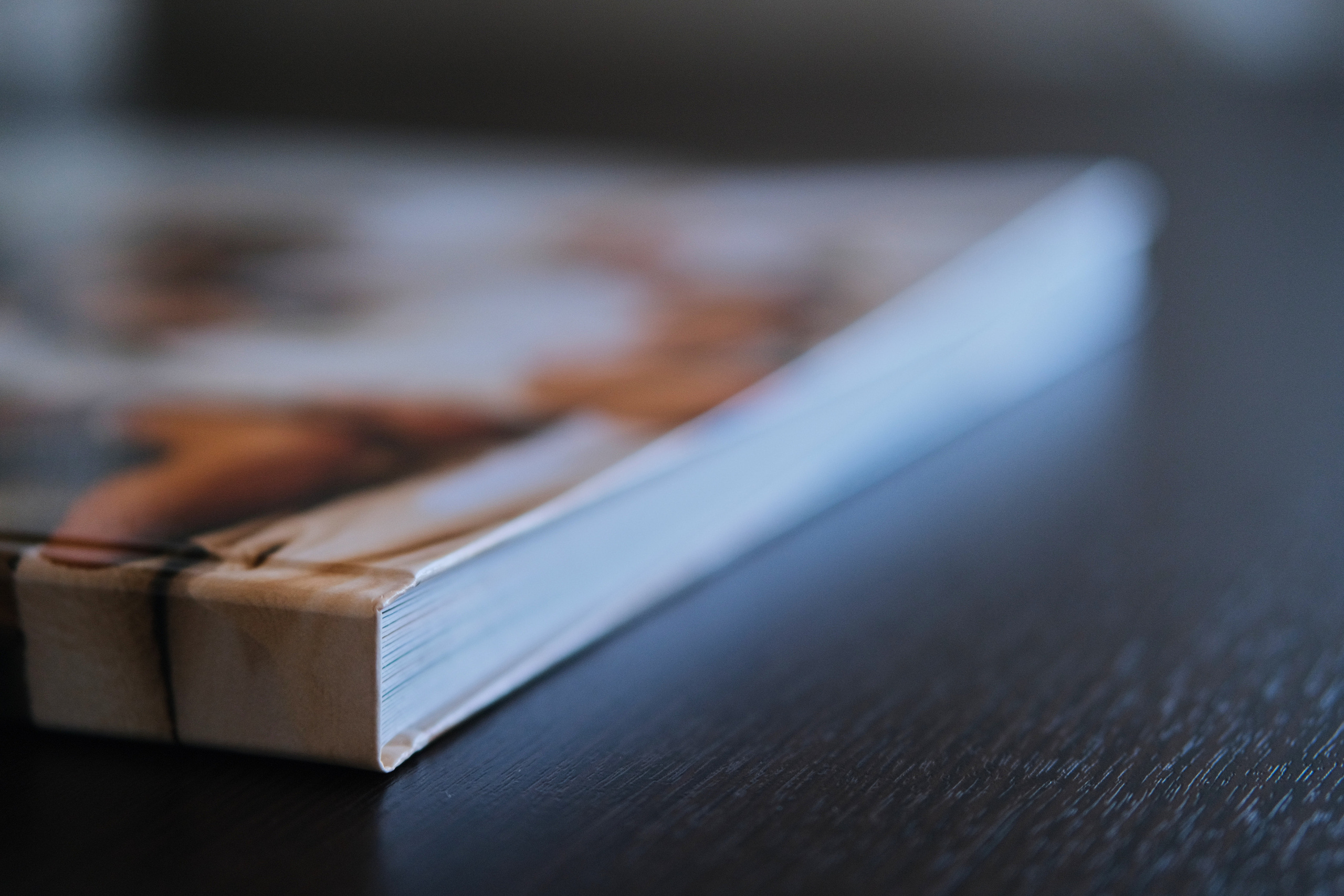 Семейная книга для Алены. Свадебный и семейный фотограф в Новокузнецке Иван Иванов