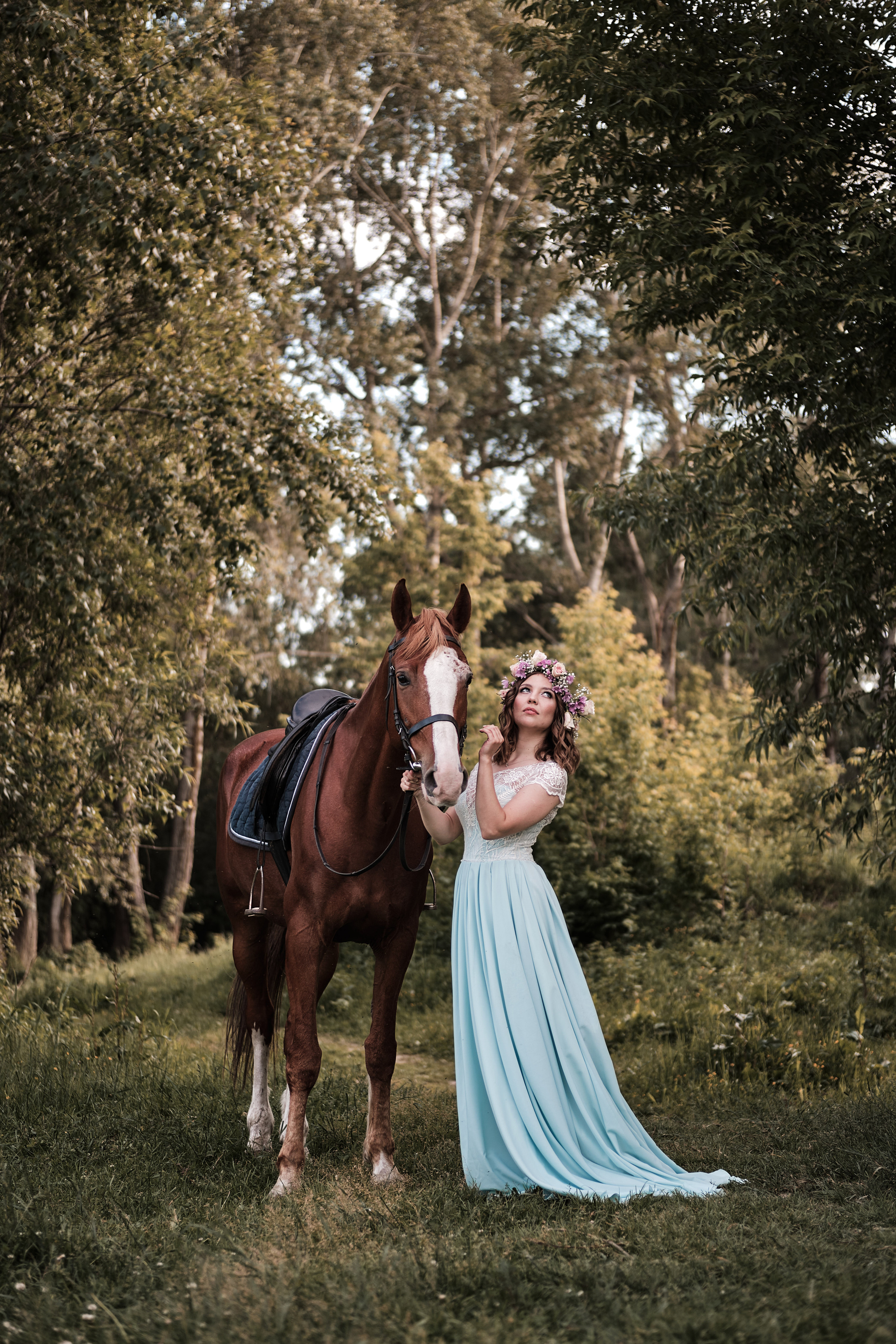 Фотопроект с конем «Диксон» — Татьяна. Свадебный и семейный фотограф в Новокузнецке Иван Иванов