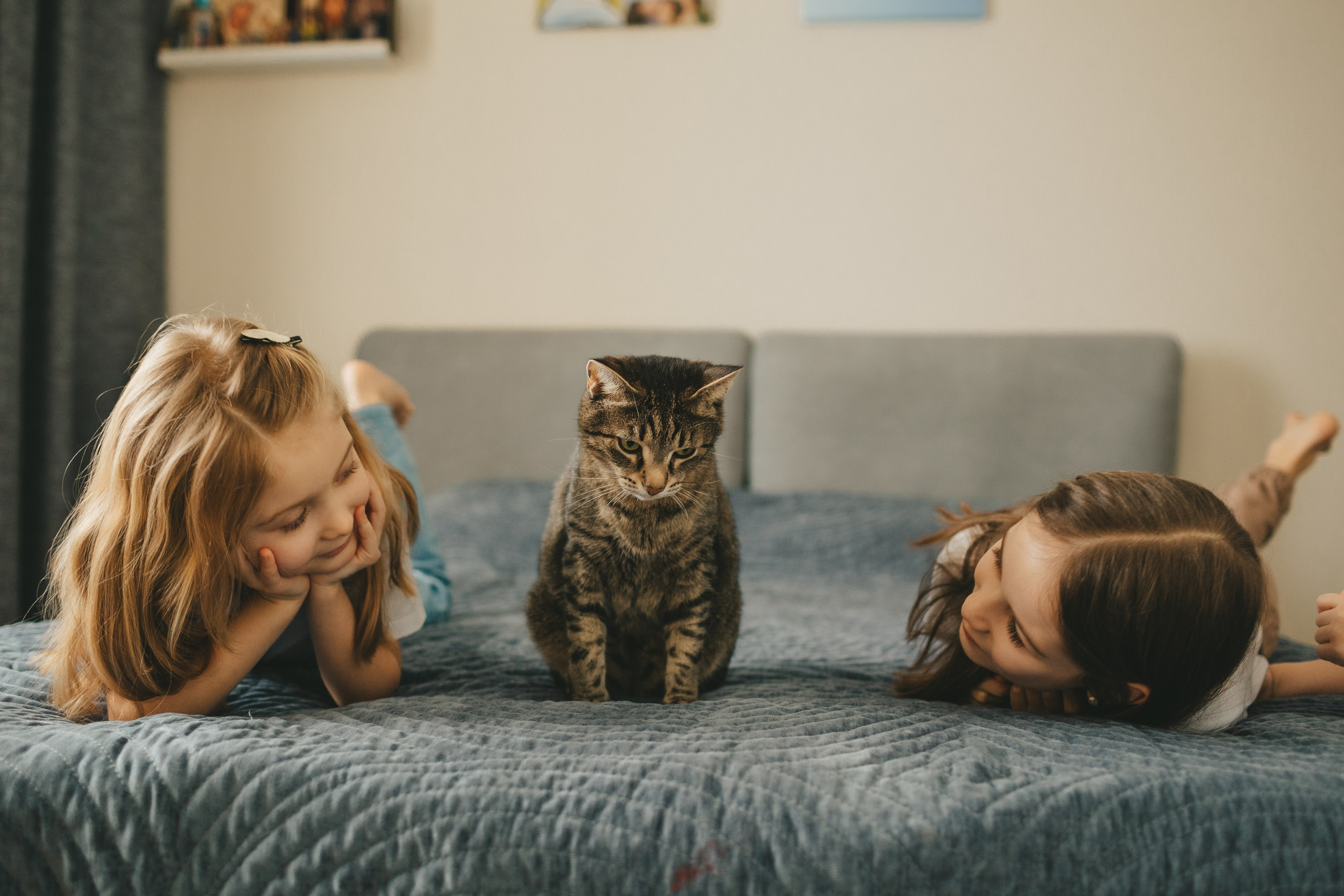 Семья Пети и Алёны (домашняя фотосессия). Семейный и детский фотограф и видеограф в Москве, Дрокина Наталья