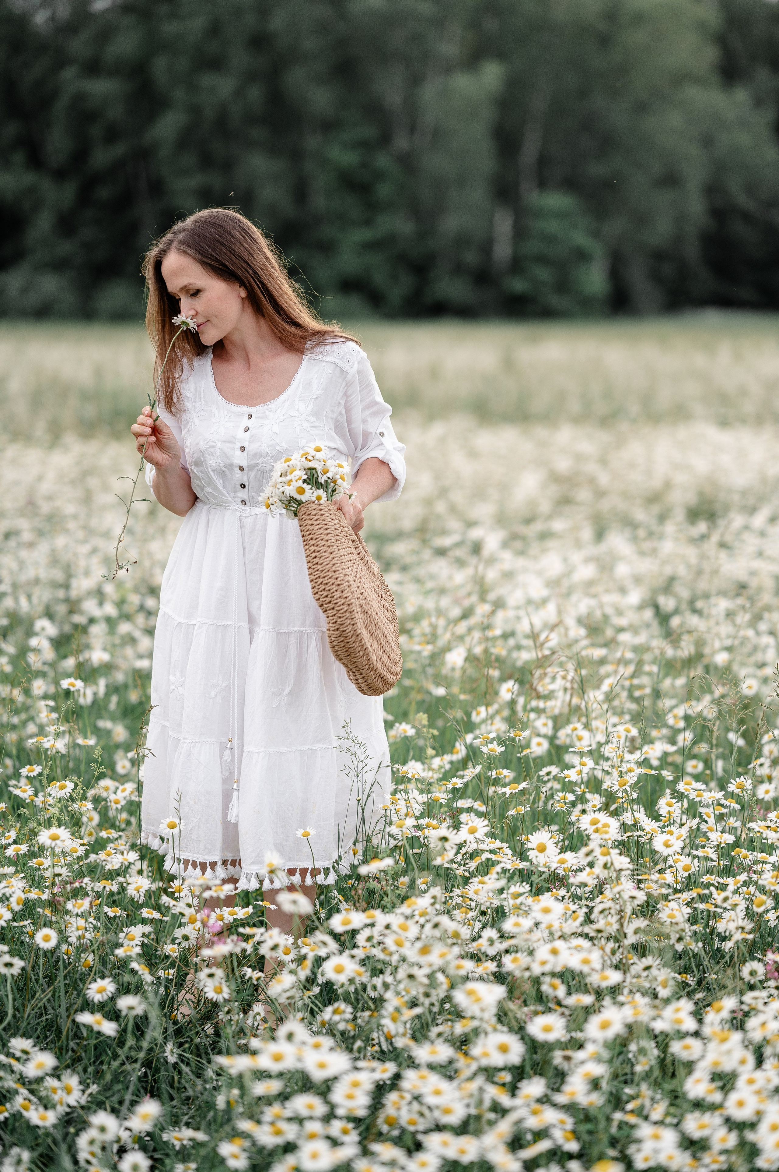 Поле ромашек. Фотограф Москва Екатерина Постникова Индивидуальные и семейные съемки