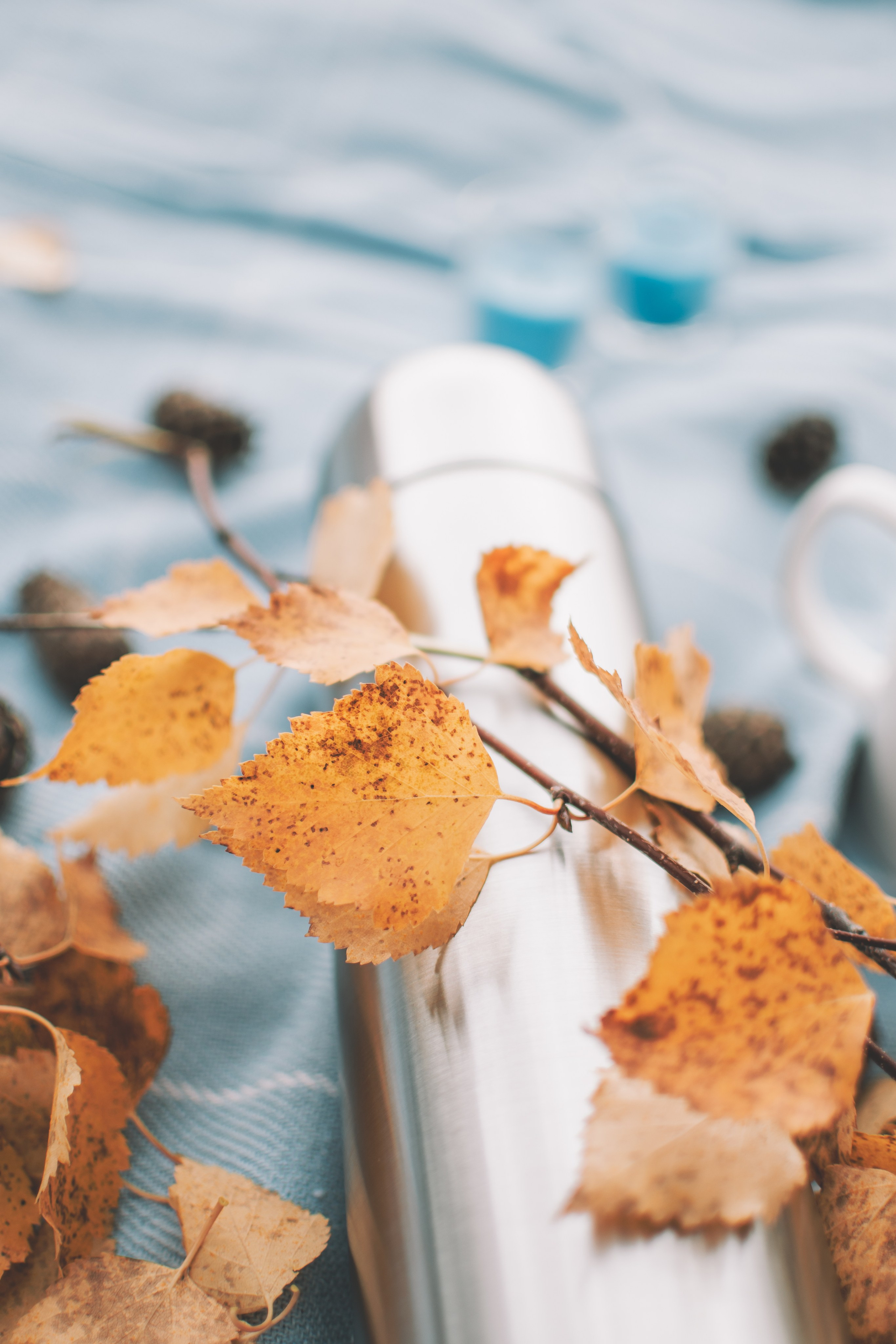 Муслимат. Семейный и свадебный фотограф Губкинский и Ставрополь