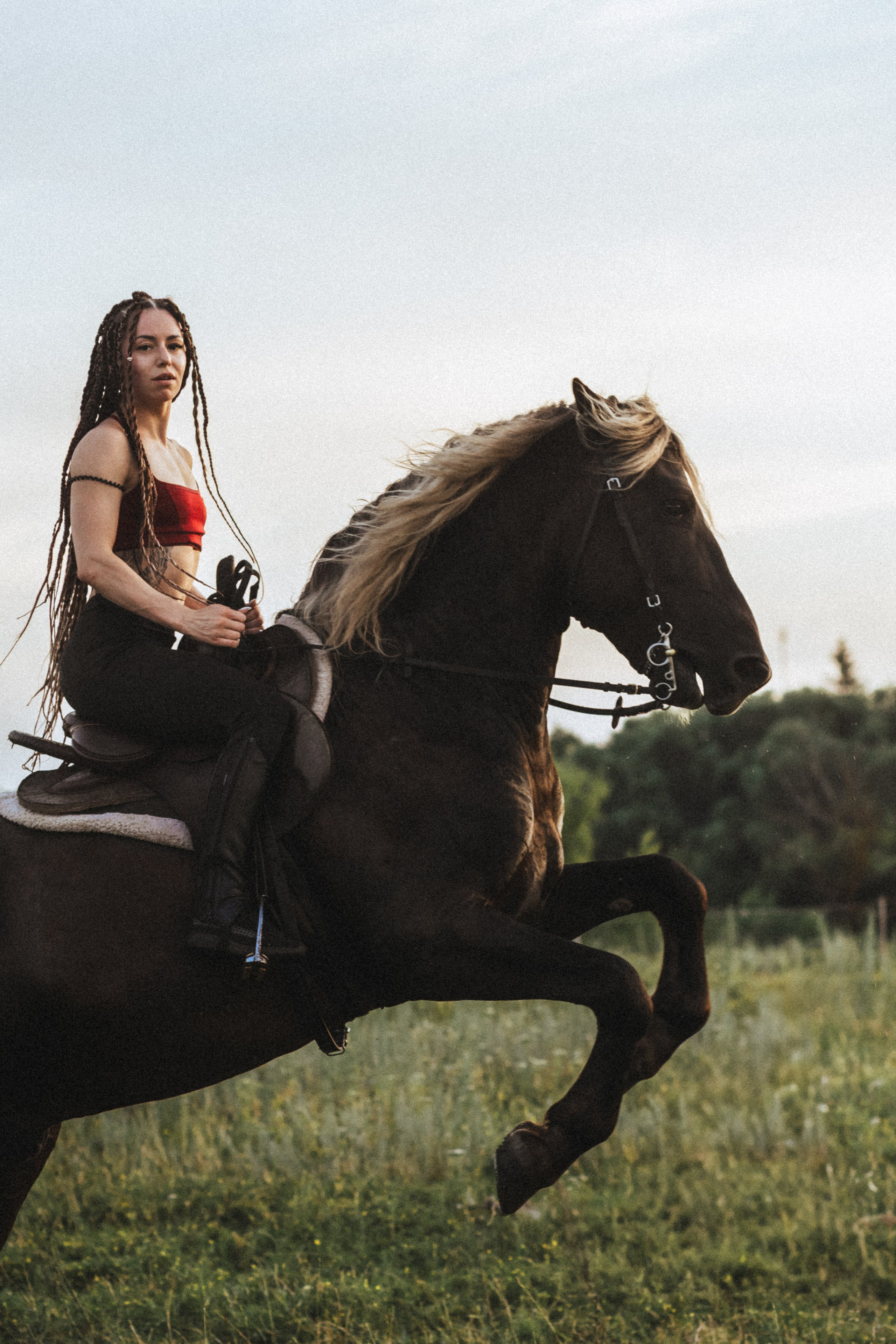 Девушка верхом на коне на дыбах, динамичный кадр в поле. Фотограф в Пензе Александра Овечкина