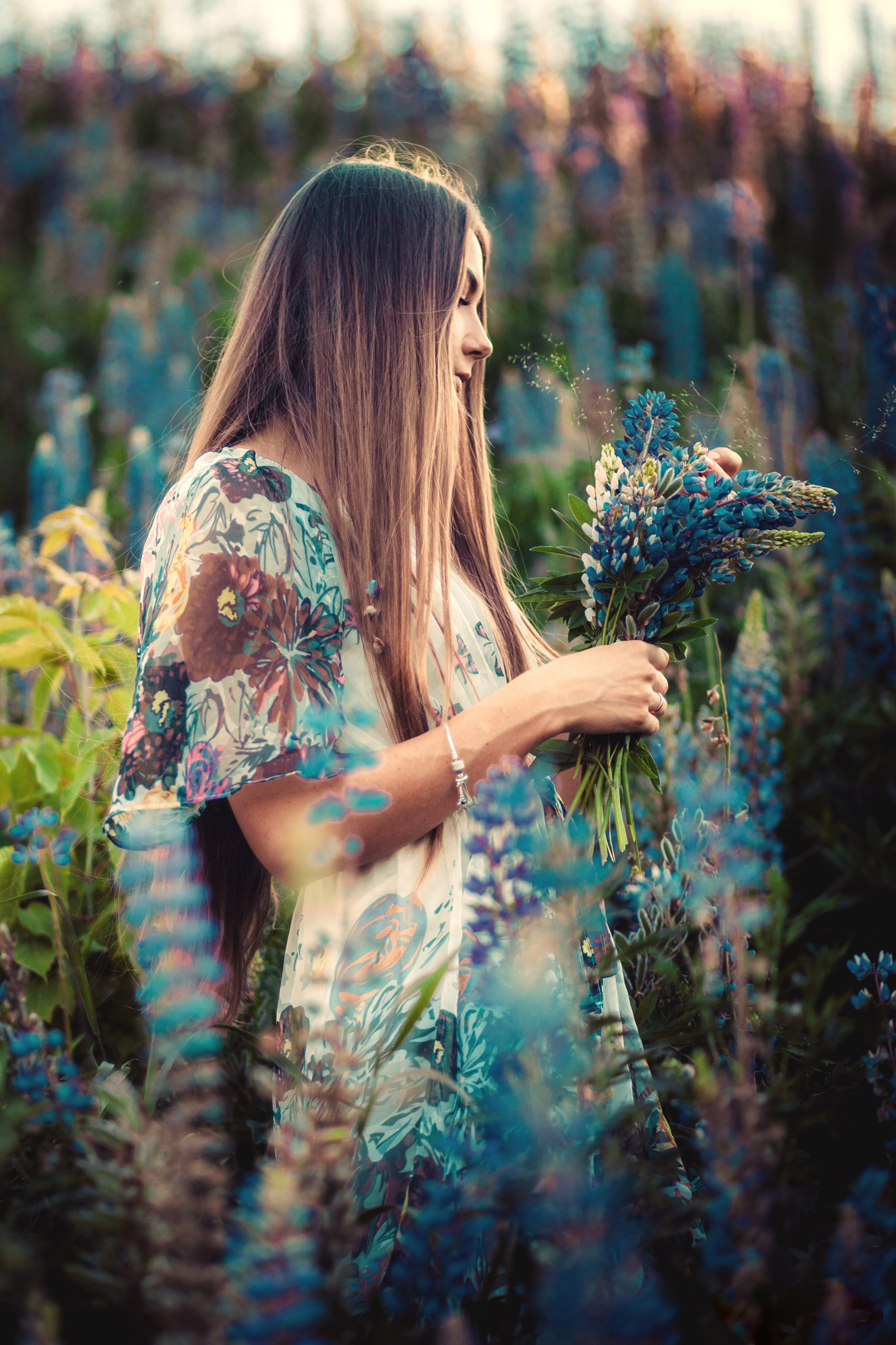 Юля — Люпины. Фотограф Михаил Коган — Москва 89267284460