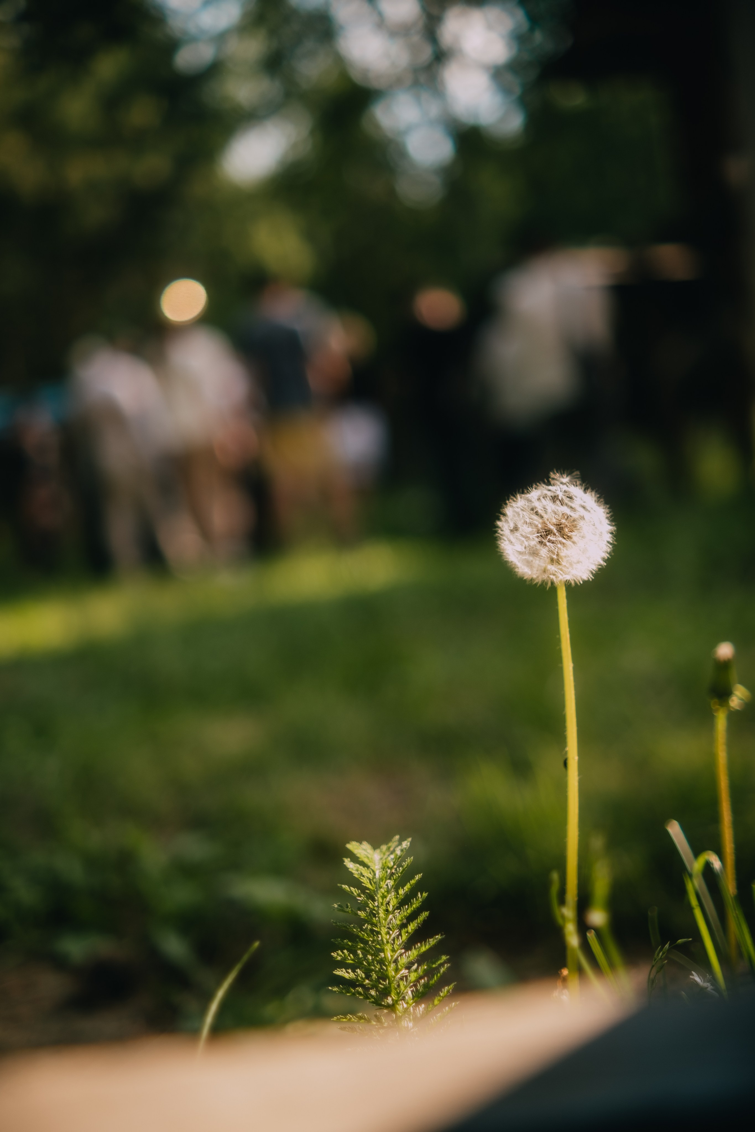 Выезд на этностойбище ресторан — музей «Чум». Фотограф в Тюмени Кирилл Марфин