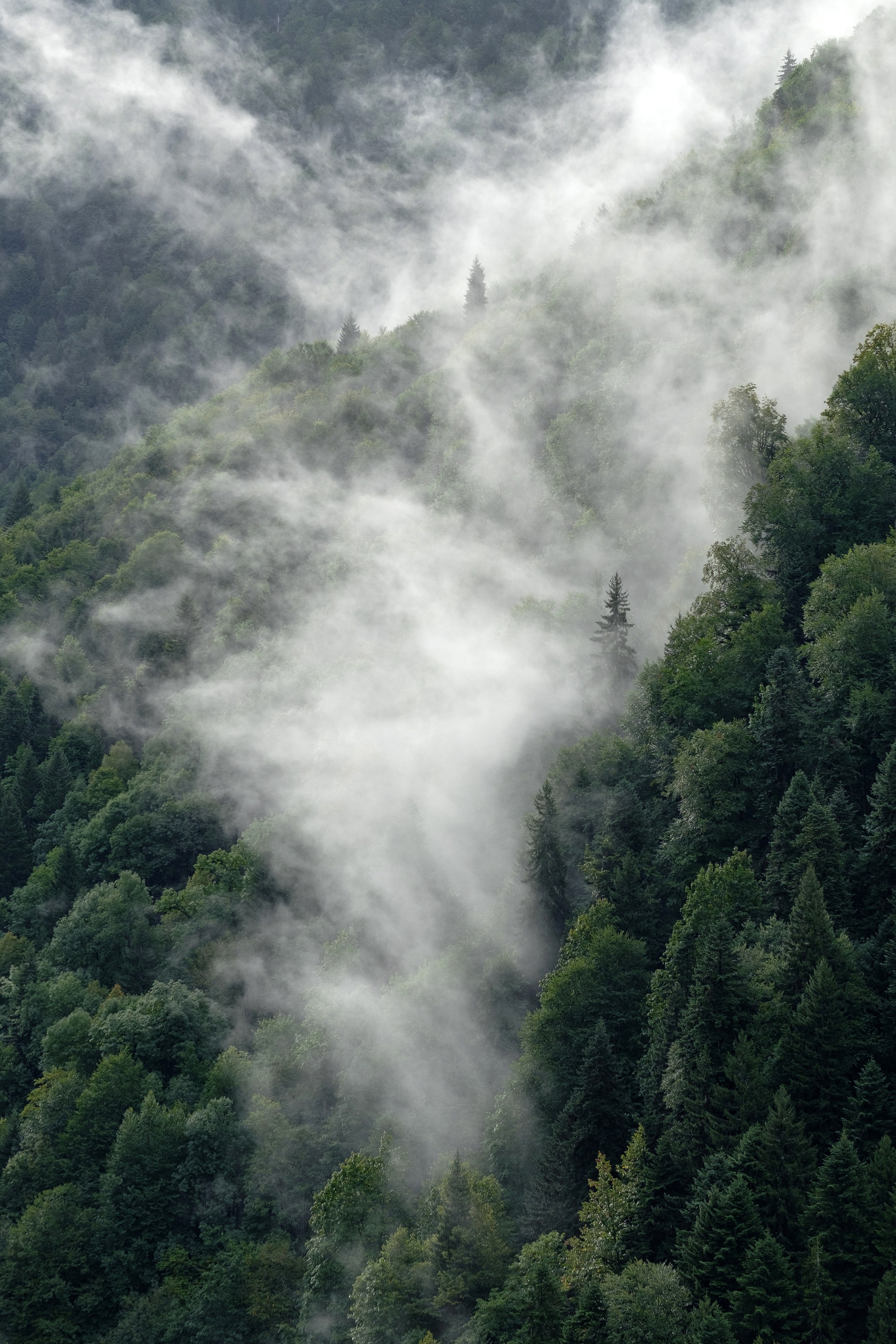 Фотографии для интерьера. Oleg Samoilov is a documentary photographer for brands that value an honest story