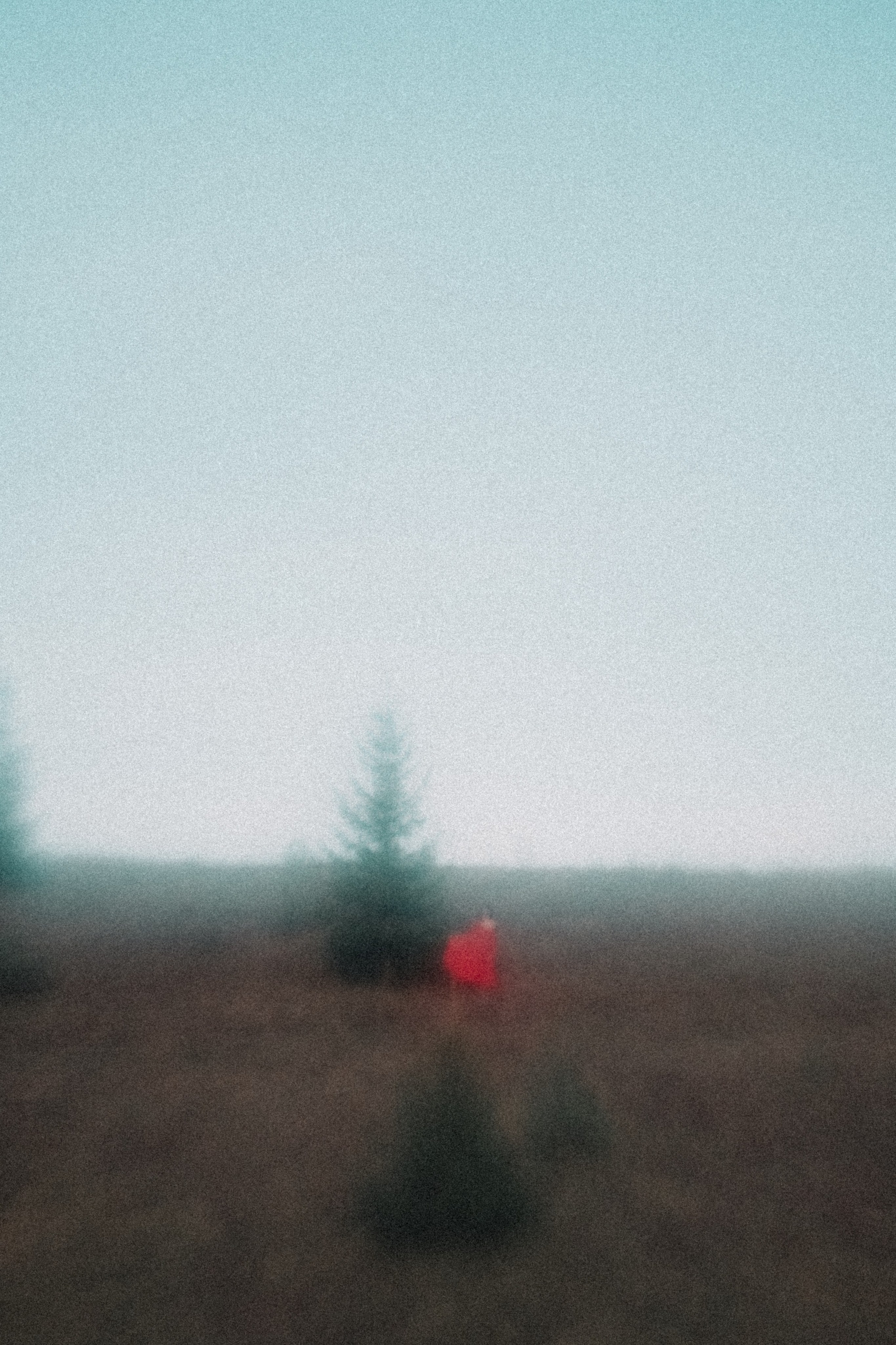 Andrew Sozonov visual artist