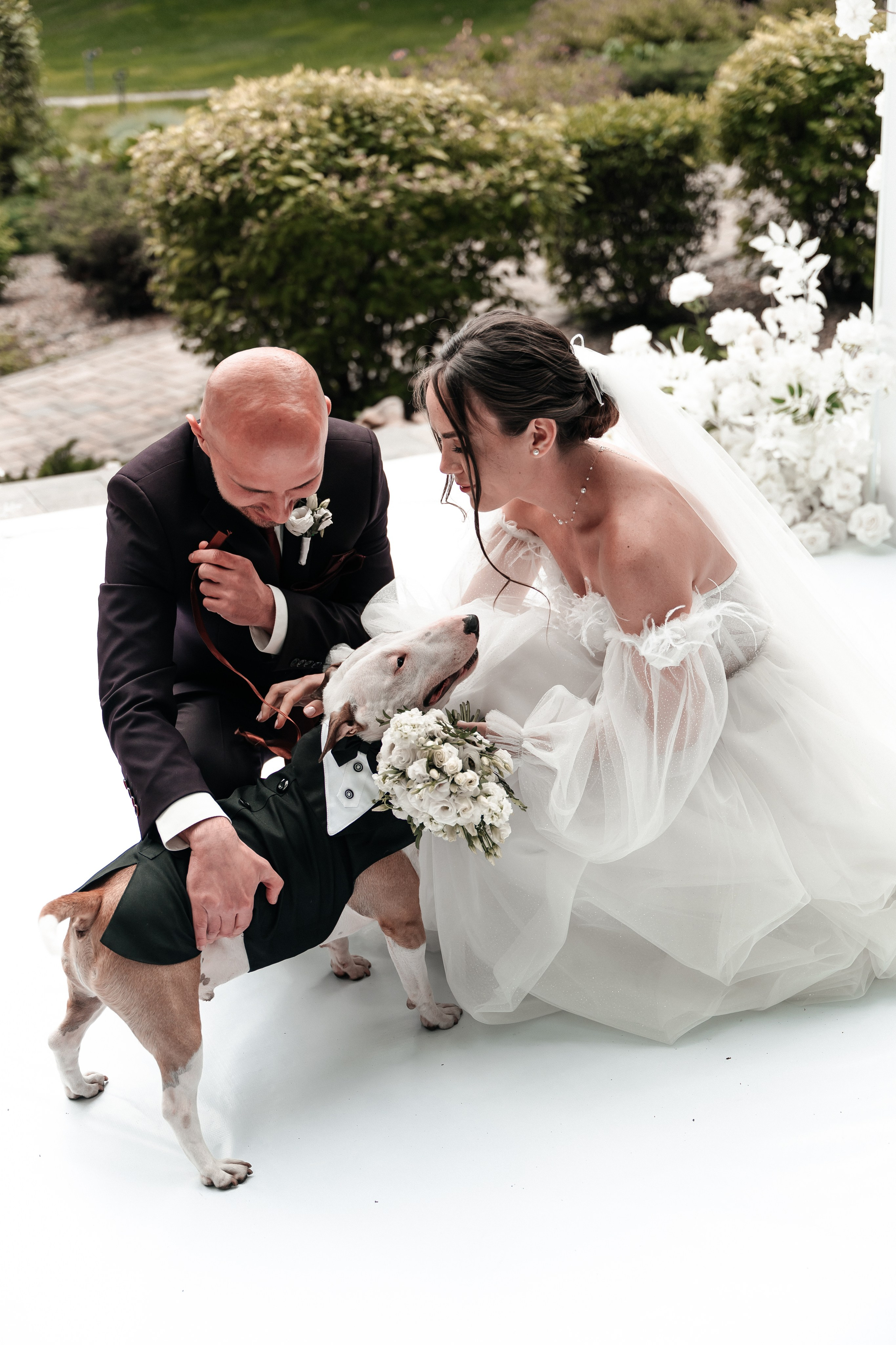 Андрей и Алина. Фотограф Екатерина Бочарникова