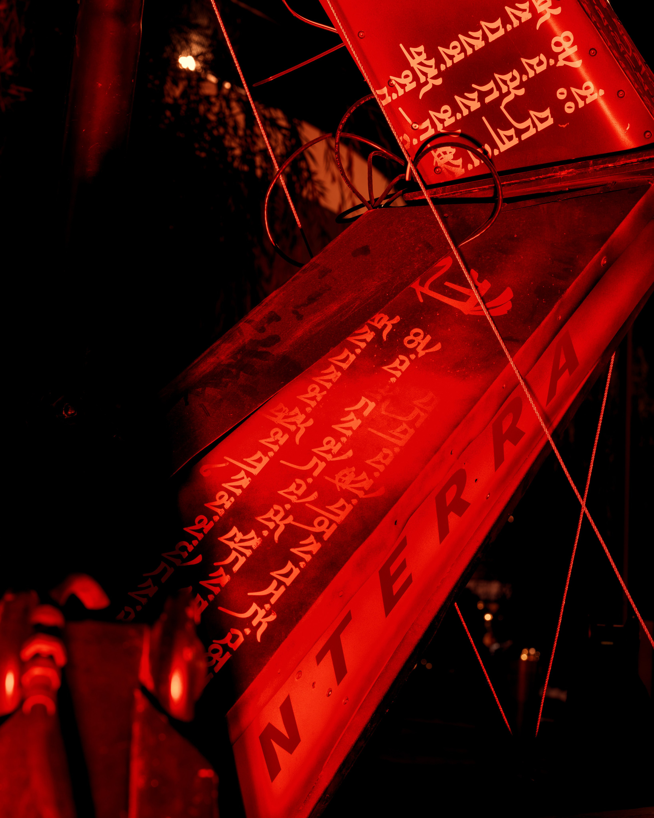 PANTERRA, Cyber Flower. @tomrus: Рустам Шагиморданов — фотограф