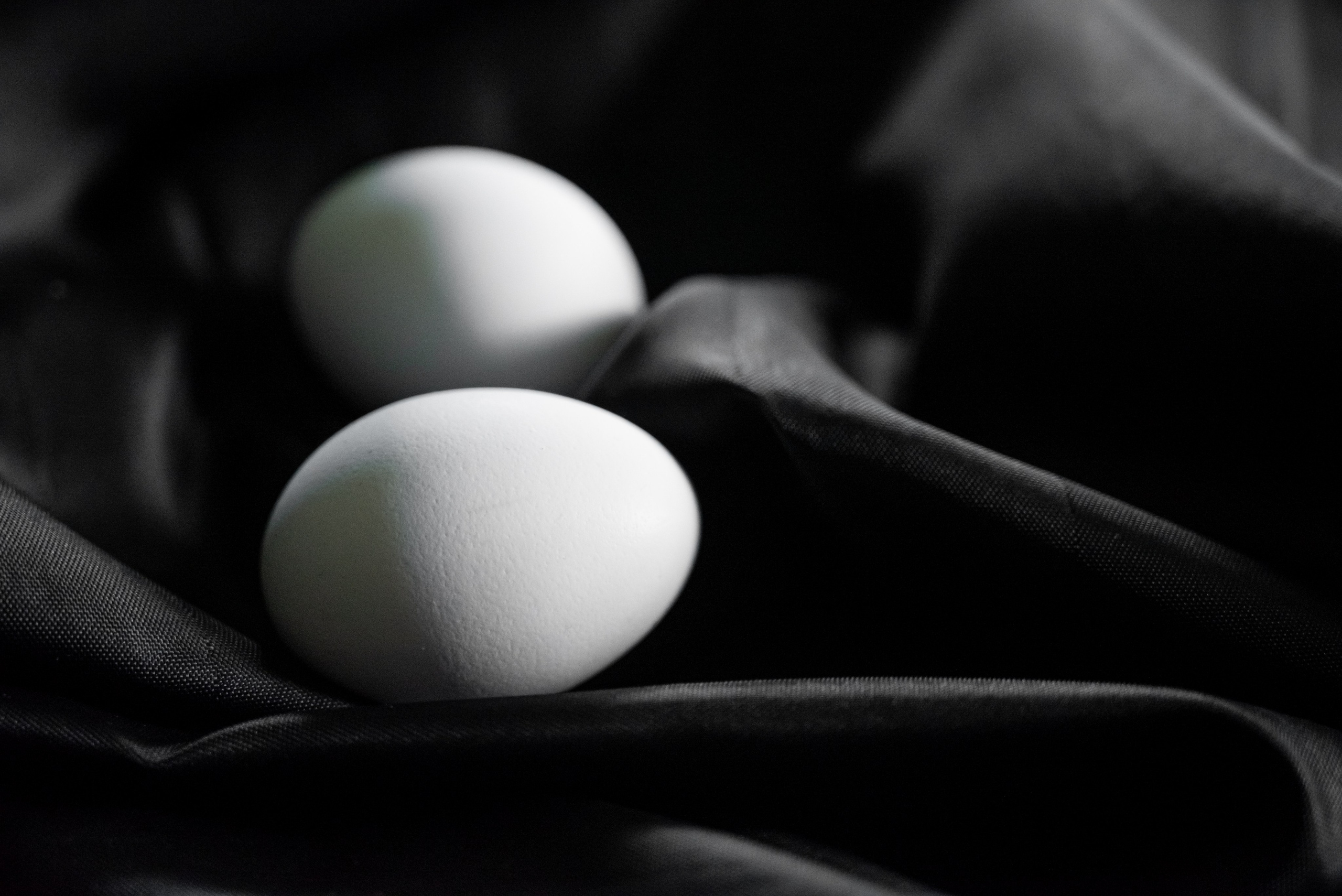 Ресторанный фотограф Балашиха