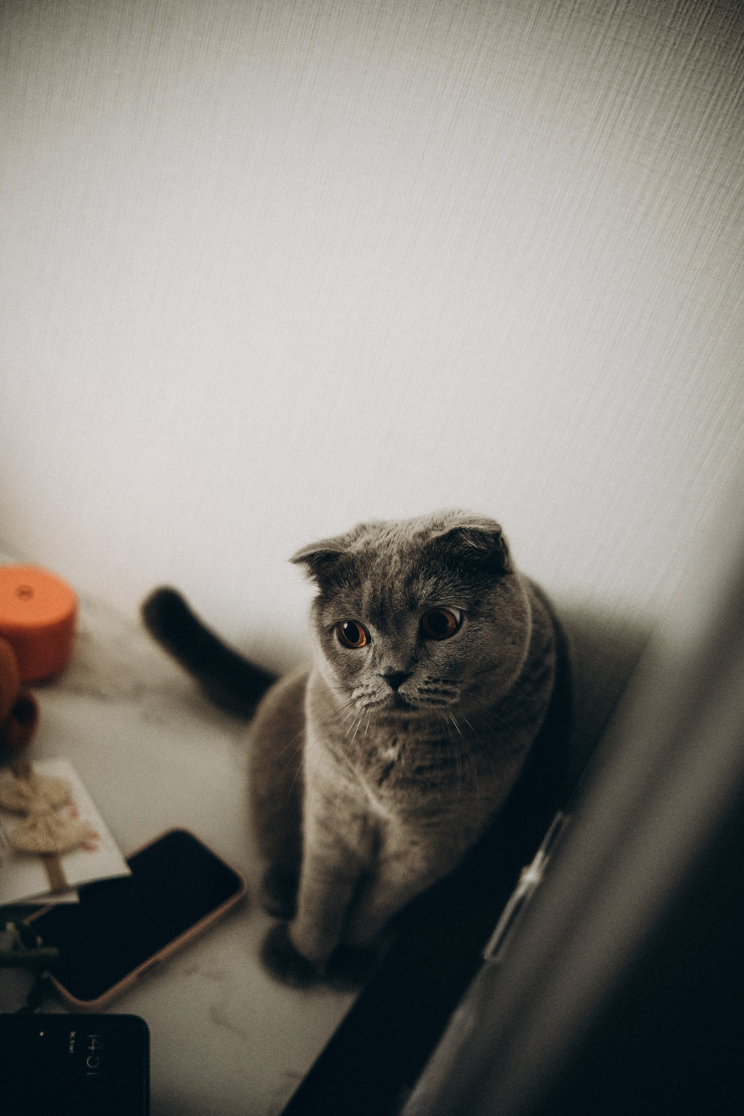 Дана&Вася&Ника. Phdkvmr.ru