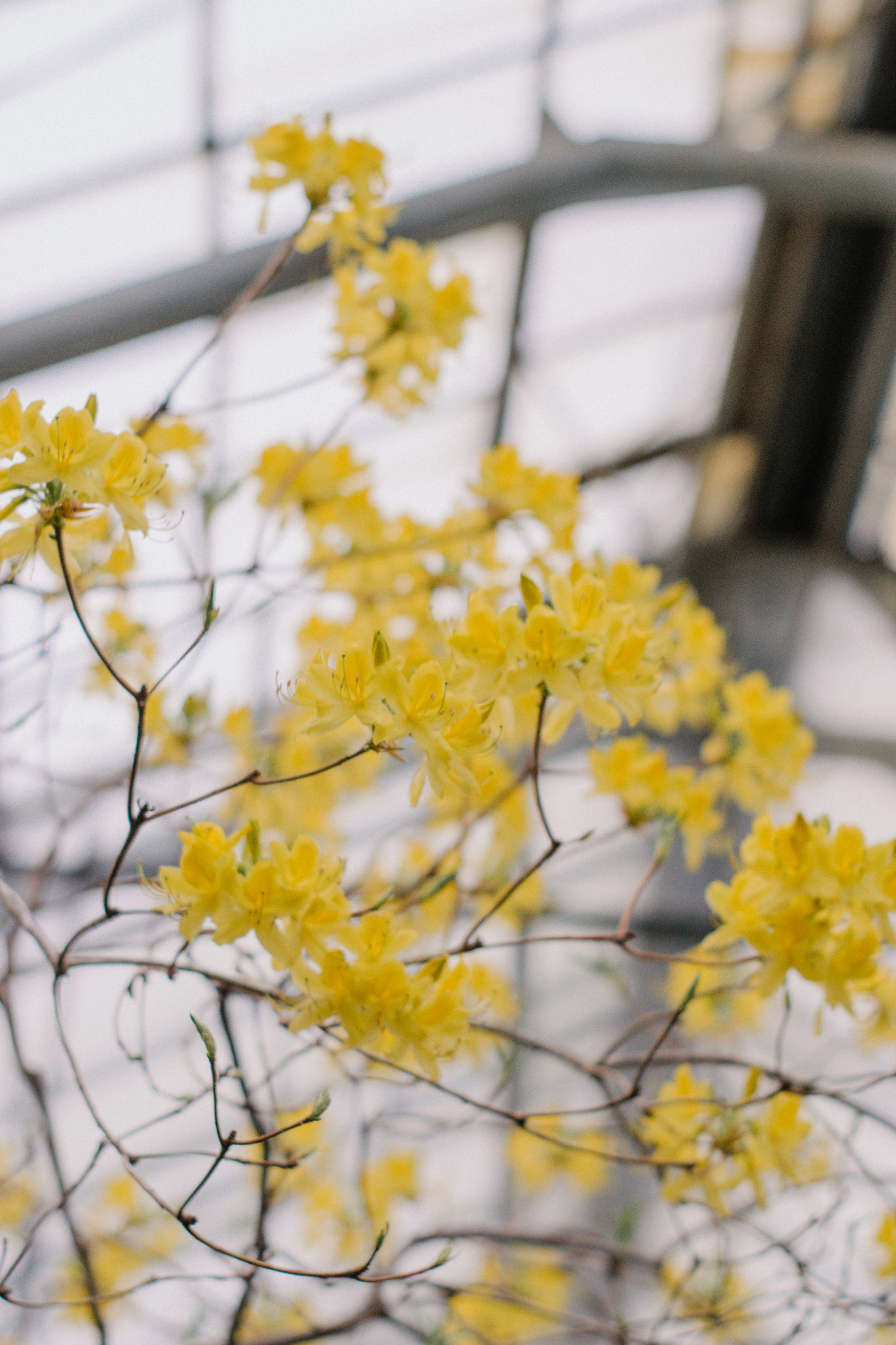 Женский, семейный фотограф в Санкт-Петербурге Катерина Ващенко