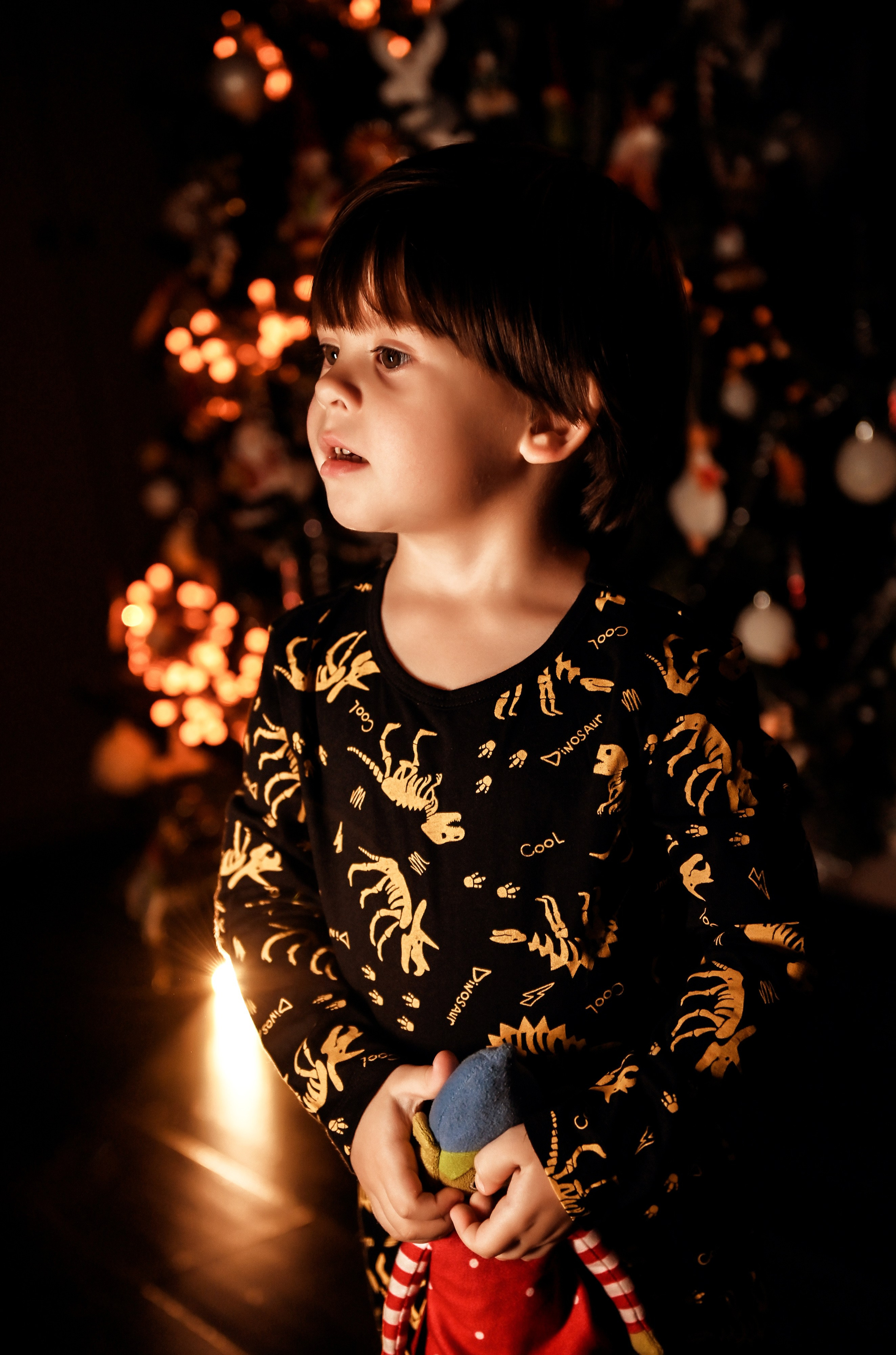 Домашняя предновогодняя. Свадебный, семейный, детский, контент фотограф в Омске Максим Ильин