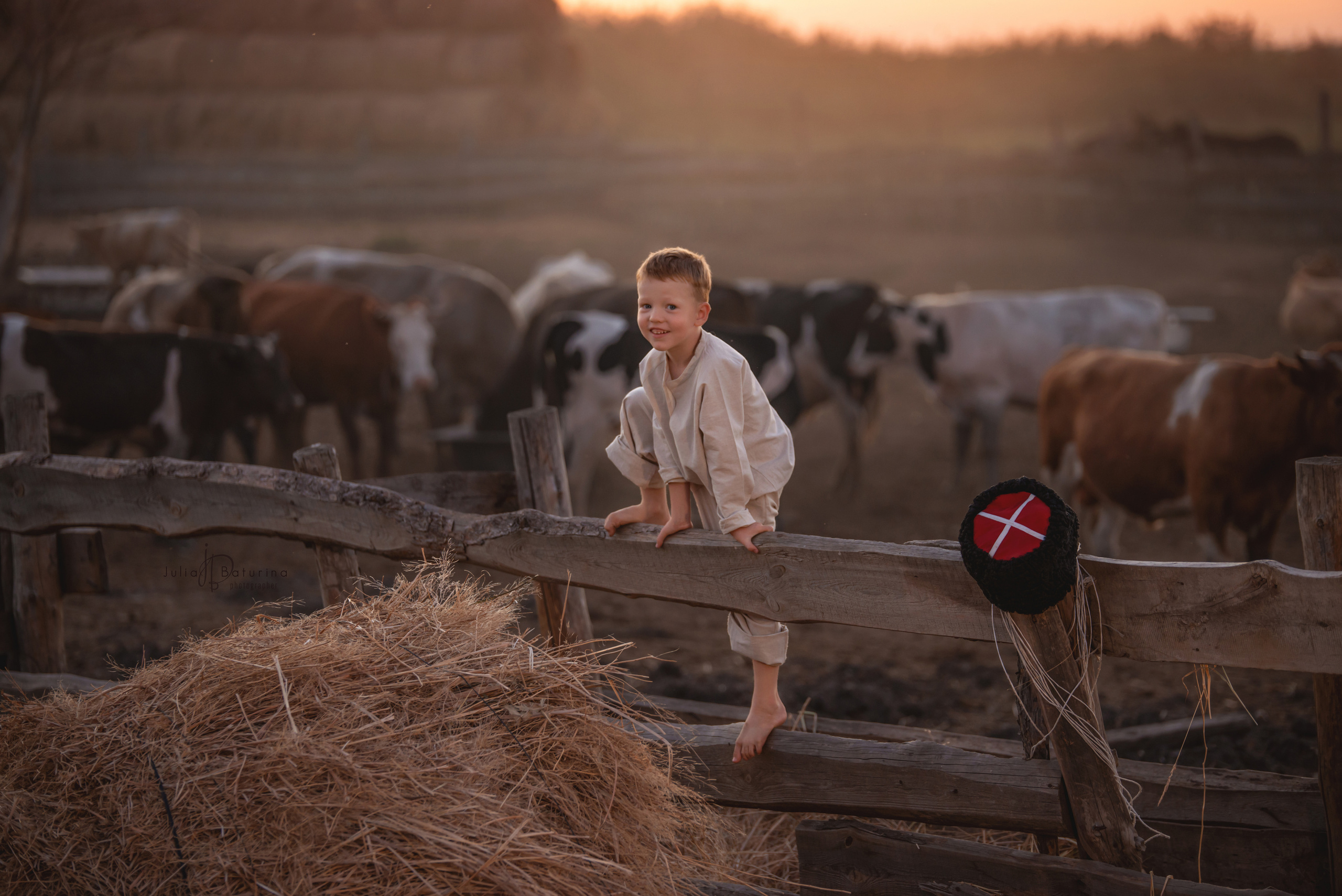 фотосессия в деревне для мальчика с коровами