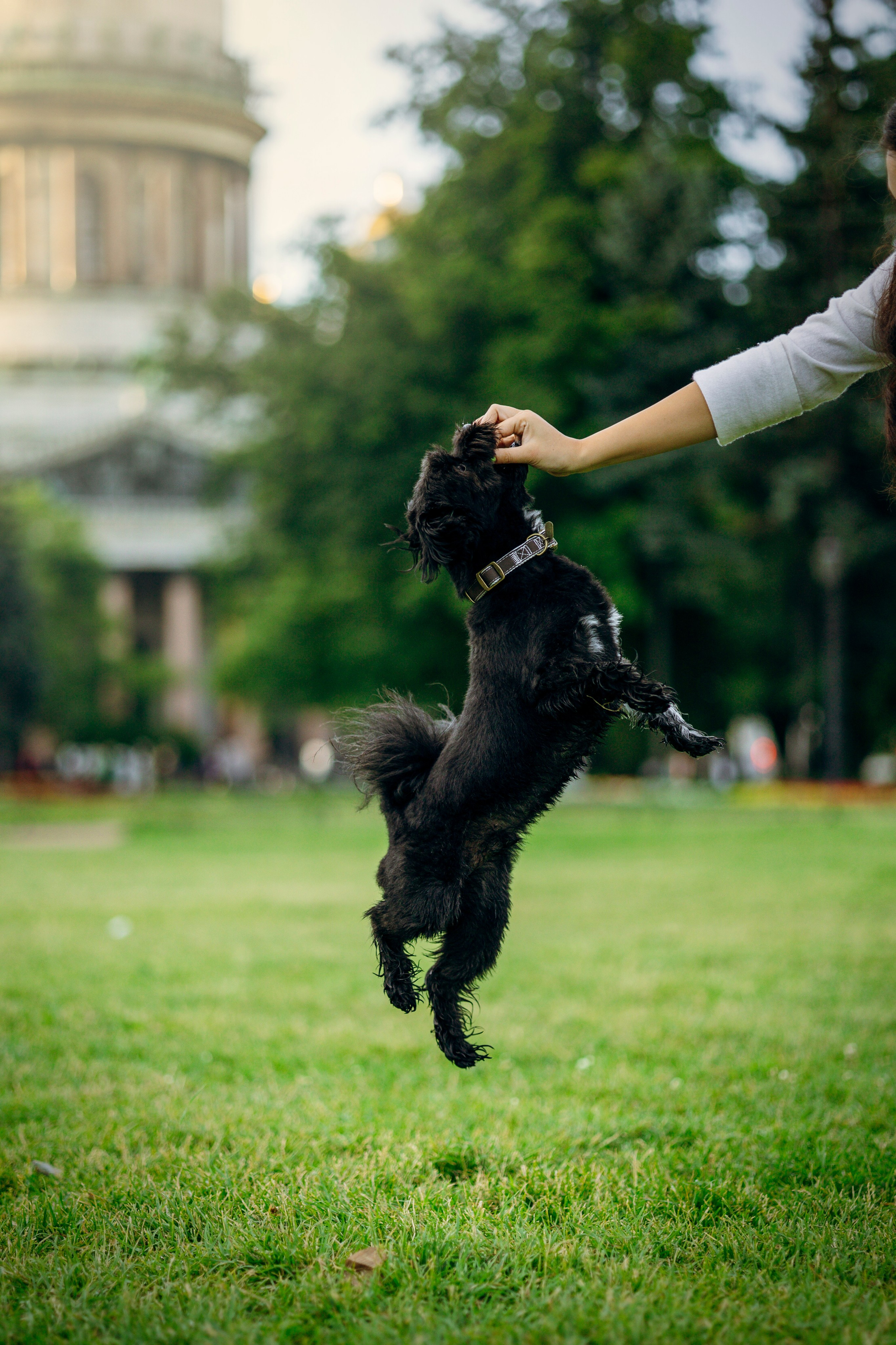 Даша и Борис. Фотограф — Анималист | Санкт-Петербург