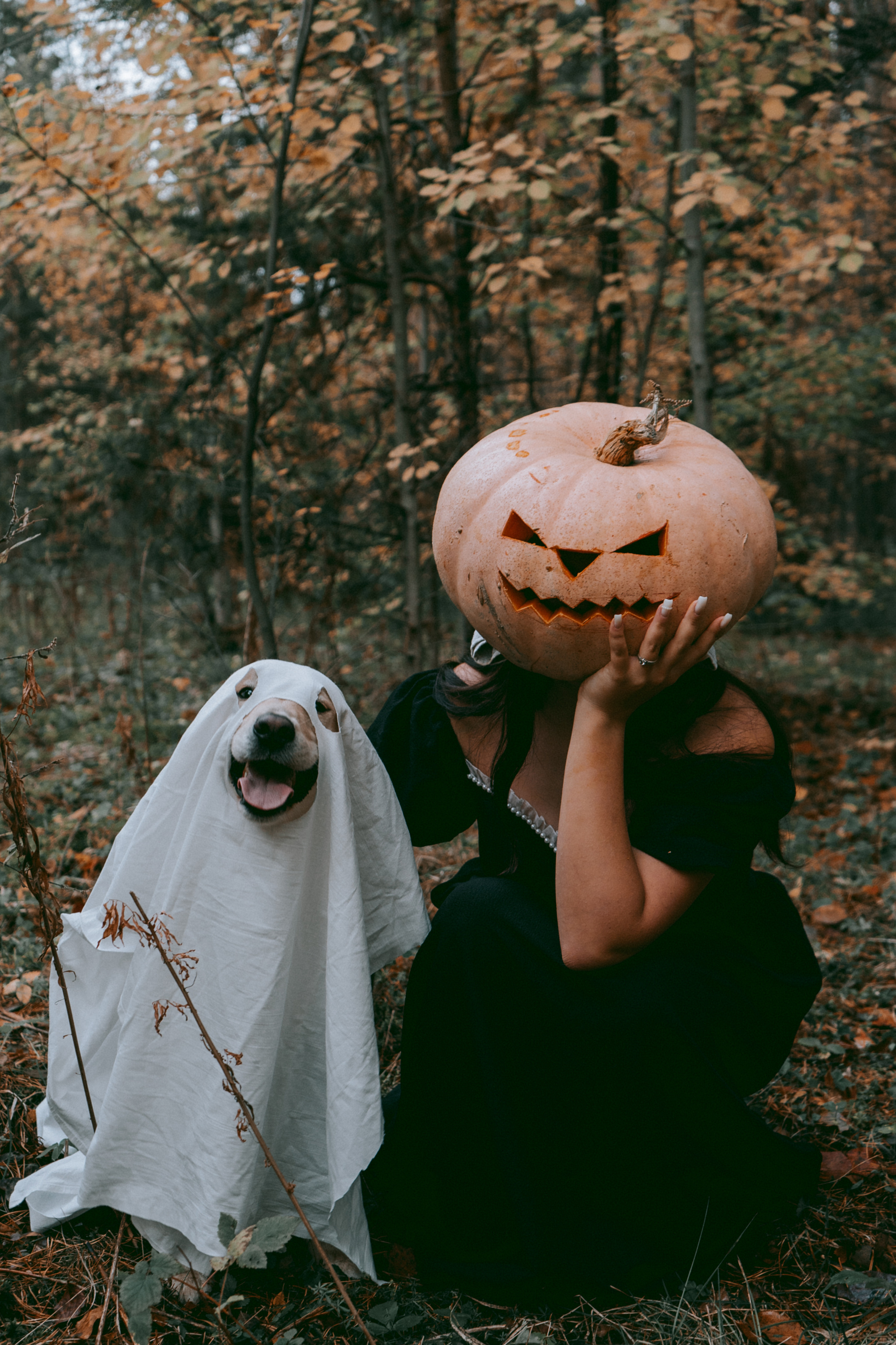 Halloween. Анастасия Попова — Fashion photographer