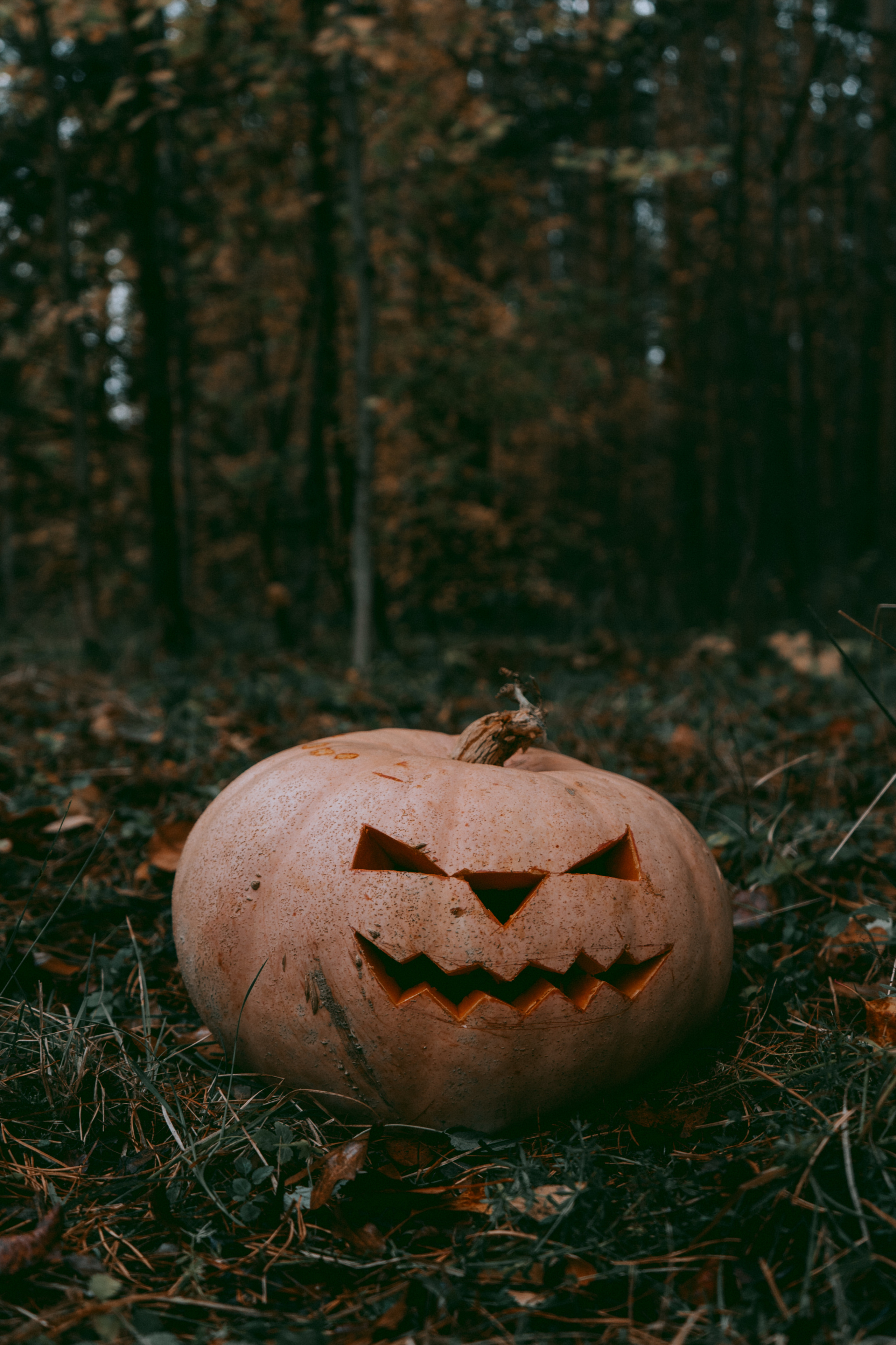 Halloween. Анастасия Попова — Fashion photographer