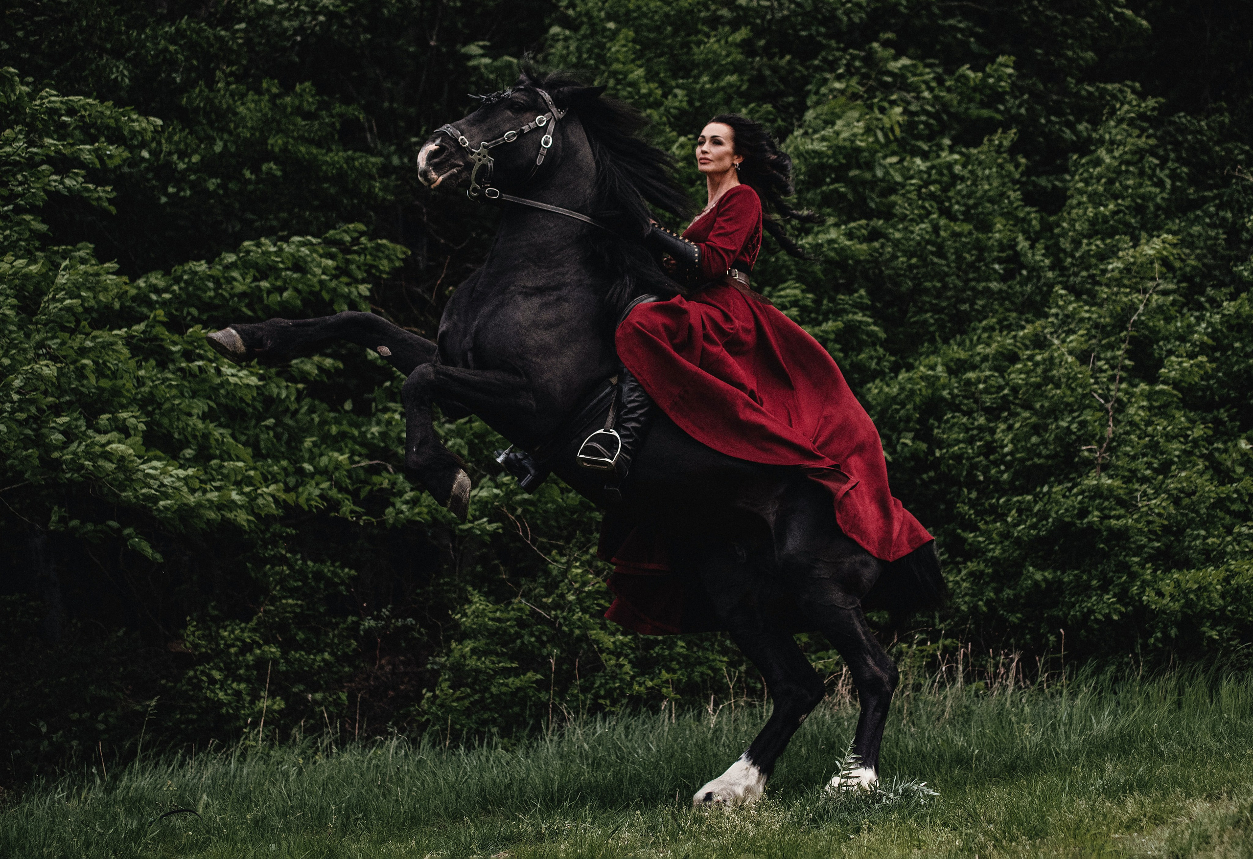 Викинг. Конный и театральный фотограф Анапа
