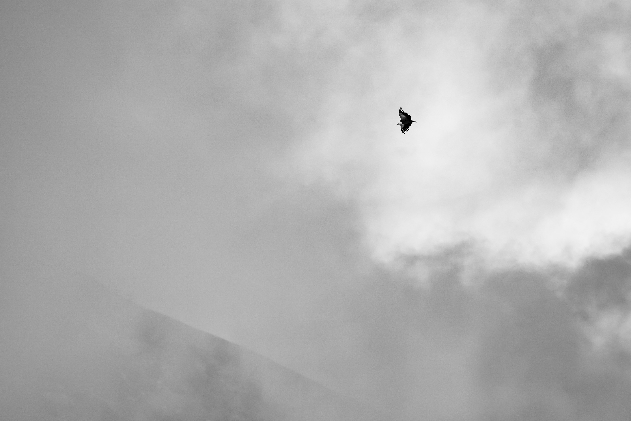 Природа Дагестана, сентябрь 2024. Foto-Zuev фотография как искусство