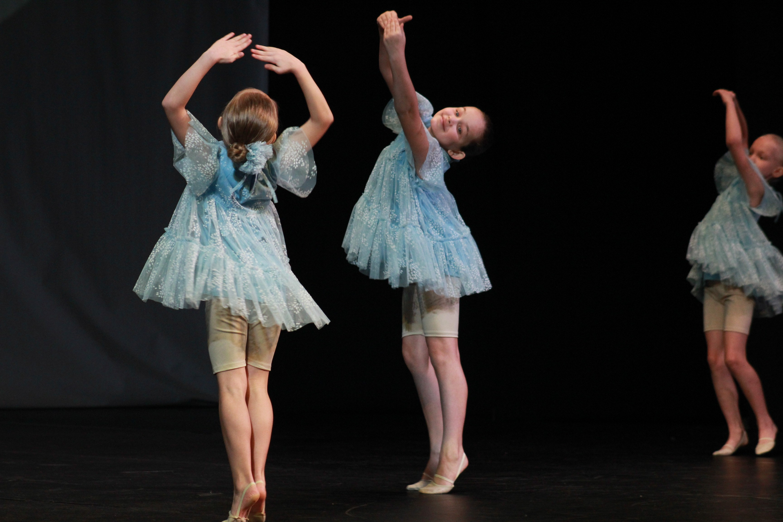 15 декабря, г. Архангельск. Золотое яблочко