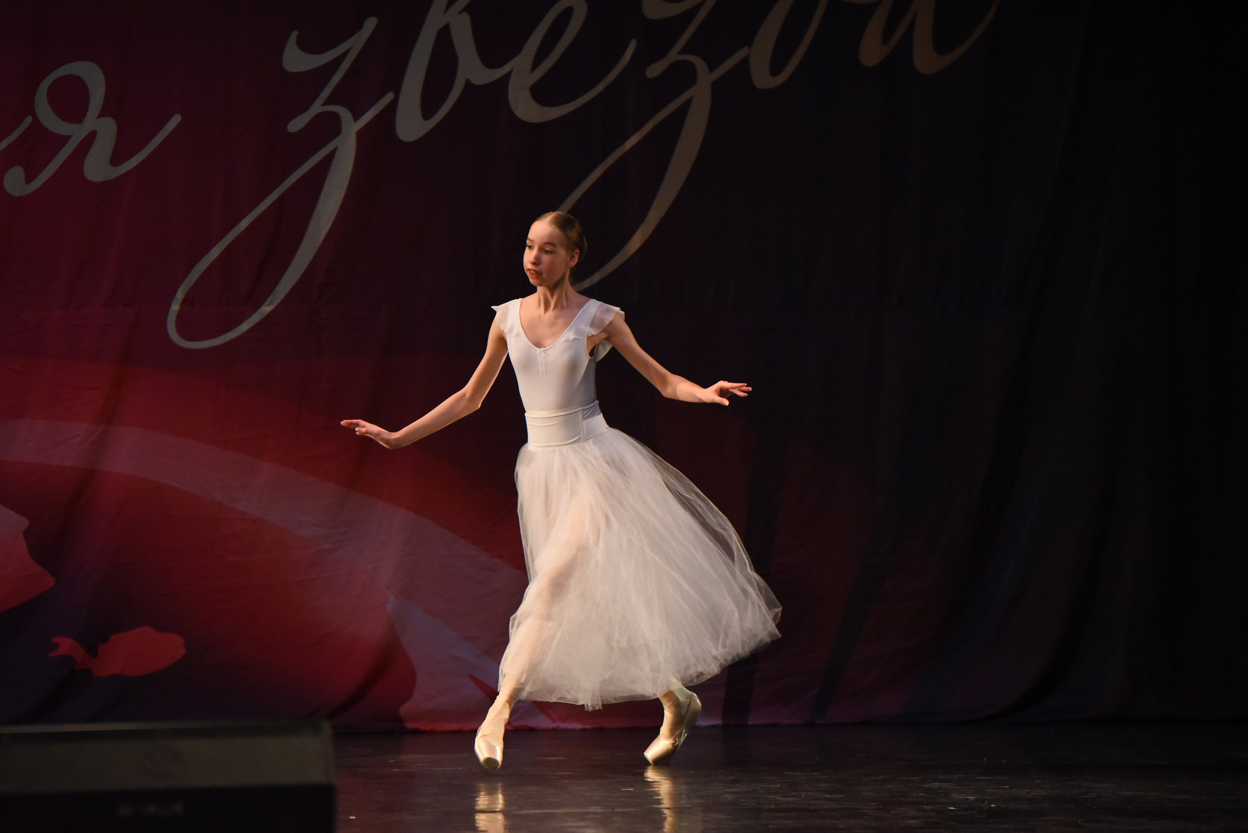 13 декабря, г. Калининград. Золотое яблочко