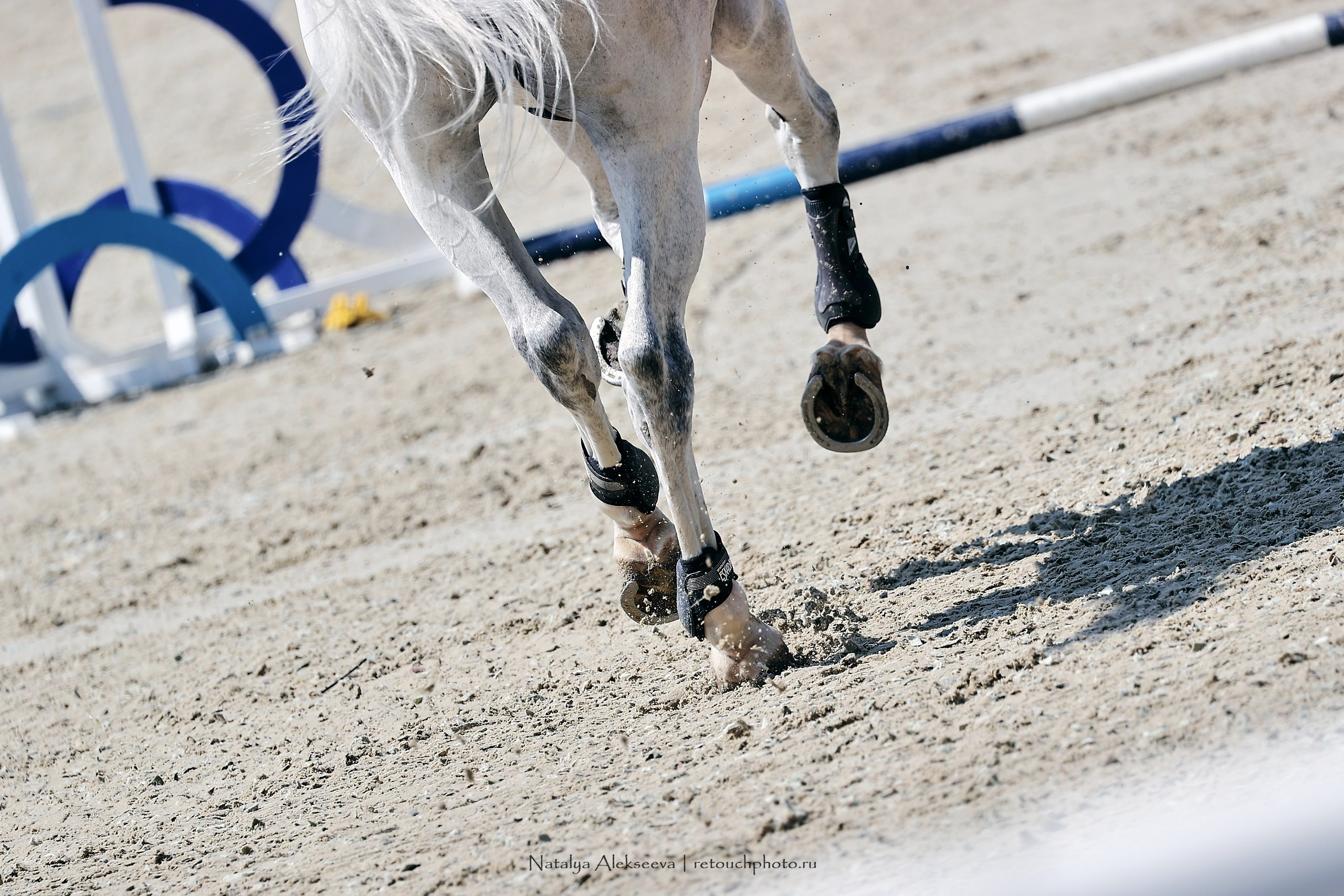 Maxima Masters Eurasia Team Competition по конкуру, Maxima Stables | 06'2023. Репортажный фотограф и ретушер в Москве Наталья Алексеева
