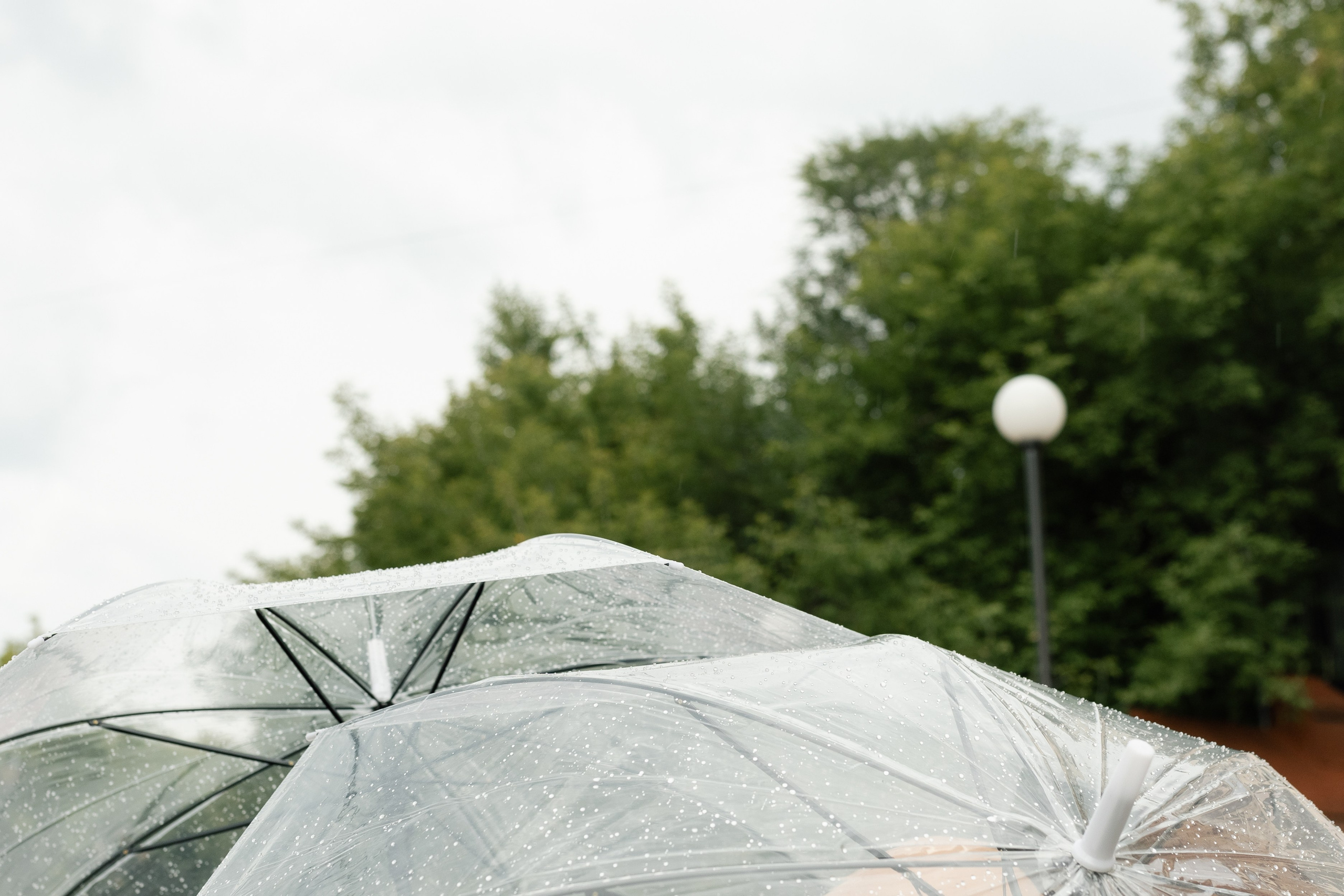 Maksim & Lia. Фотограф в Томске Ирина Павлуцкая