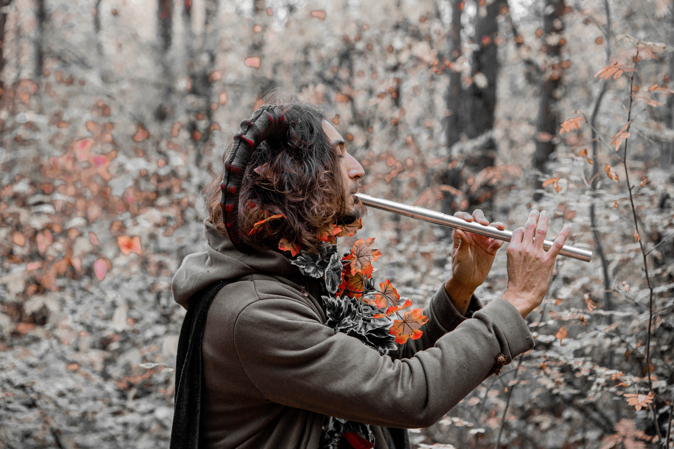 Волшебный лес. Фотограф Екатерина Голицына