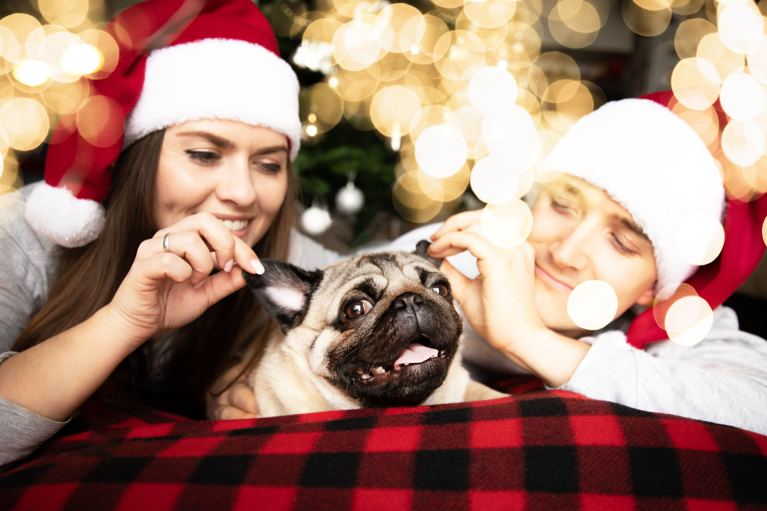 A young family and their pet in Christmas and New Year photo session. The best moments and tender touches remain on the photos for a lifetime. Professional family, children, fashion, event and wedding photographer in Portugal. Oksana Lomnova