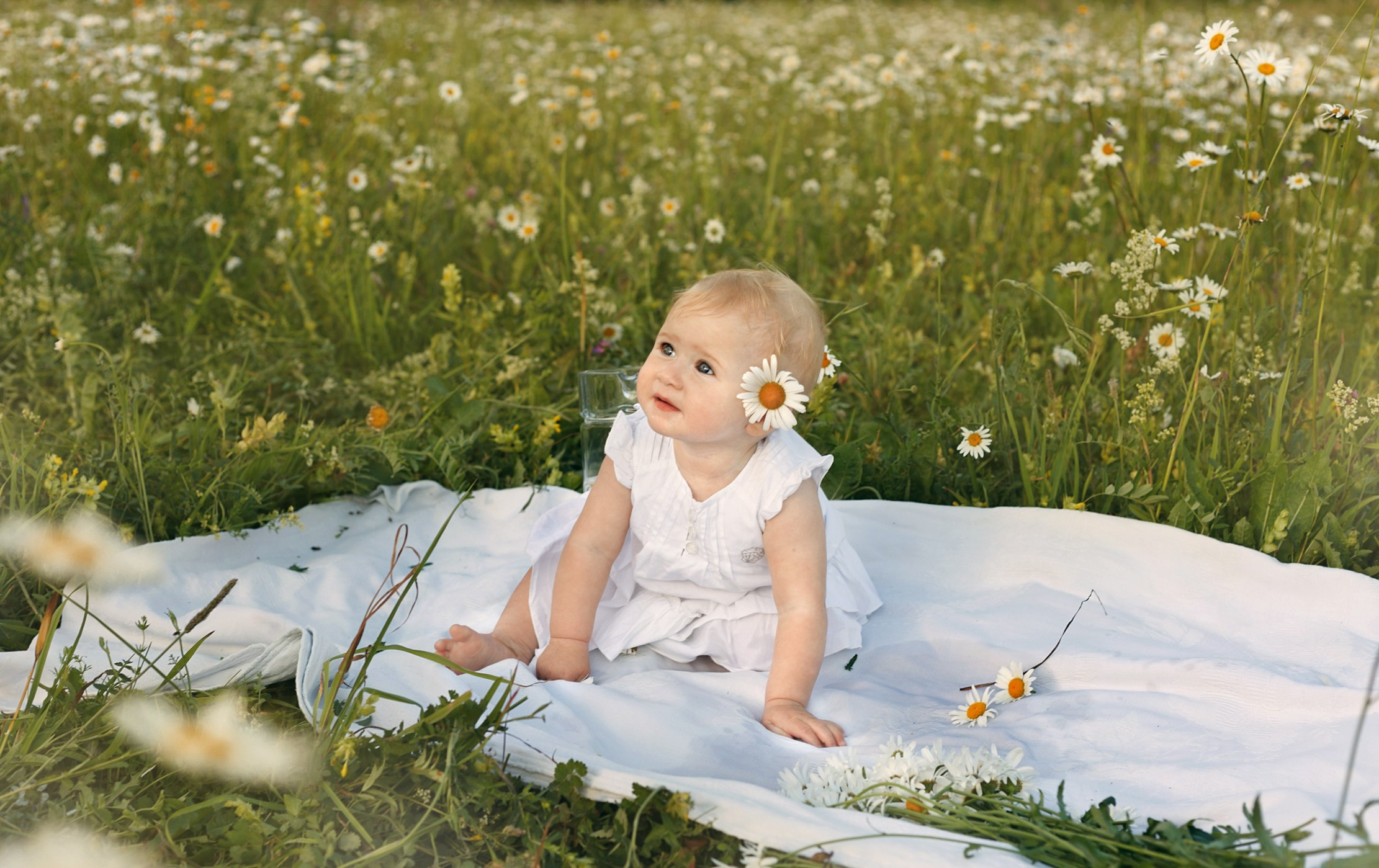 Ромашки. Детский и семейный фотограф в Бердске и Новосибирске Дарья Гребнева